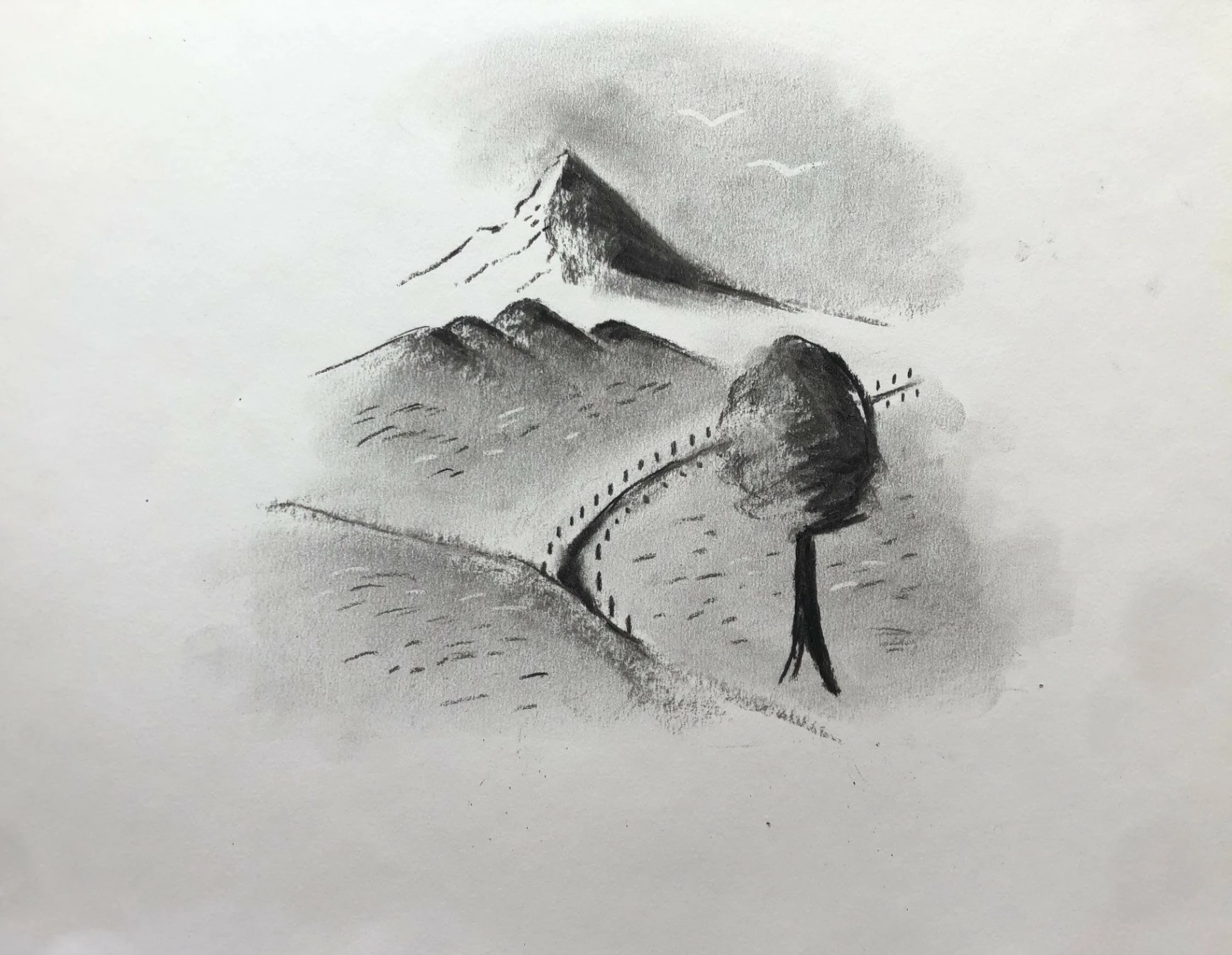 dessin au fusain pour débutant