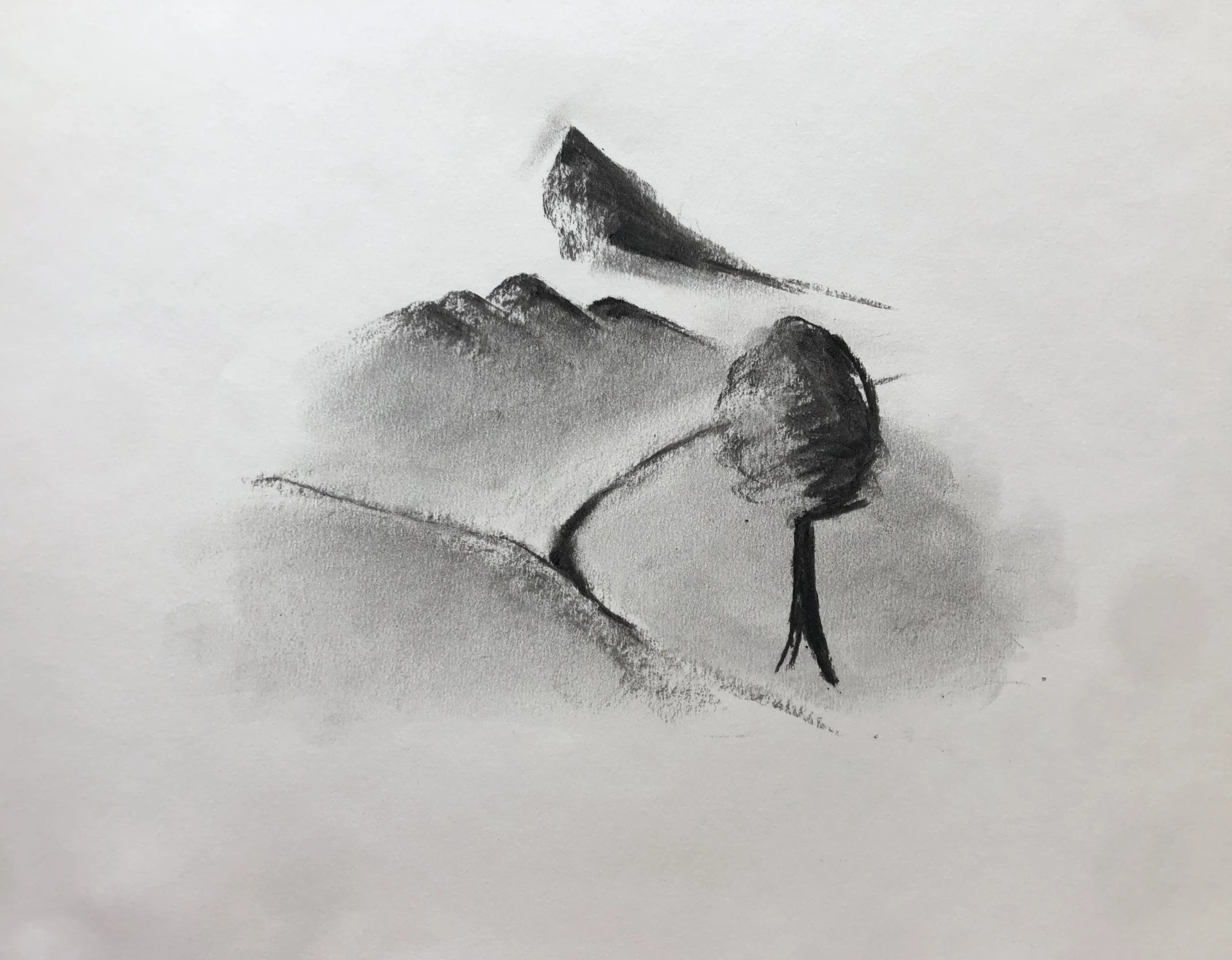 dessiner le relief d’un paysage au fusain