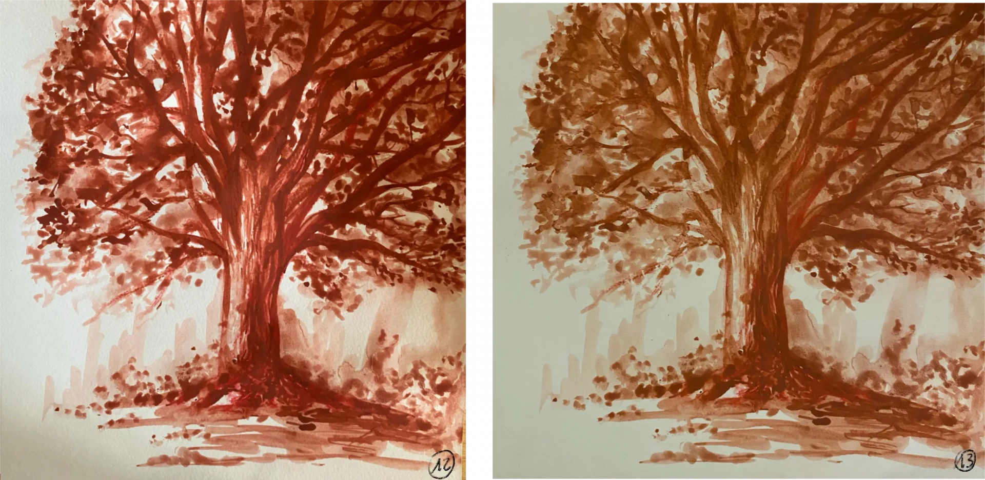 dessiner l’arrière plan d’un arbre à la sanguine humide