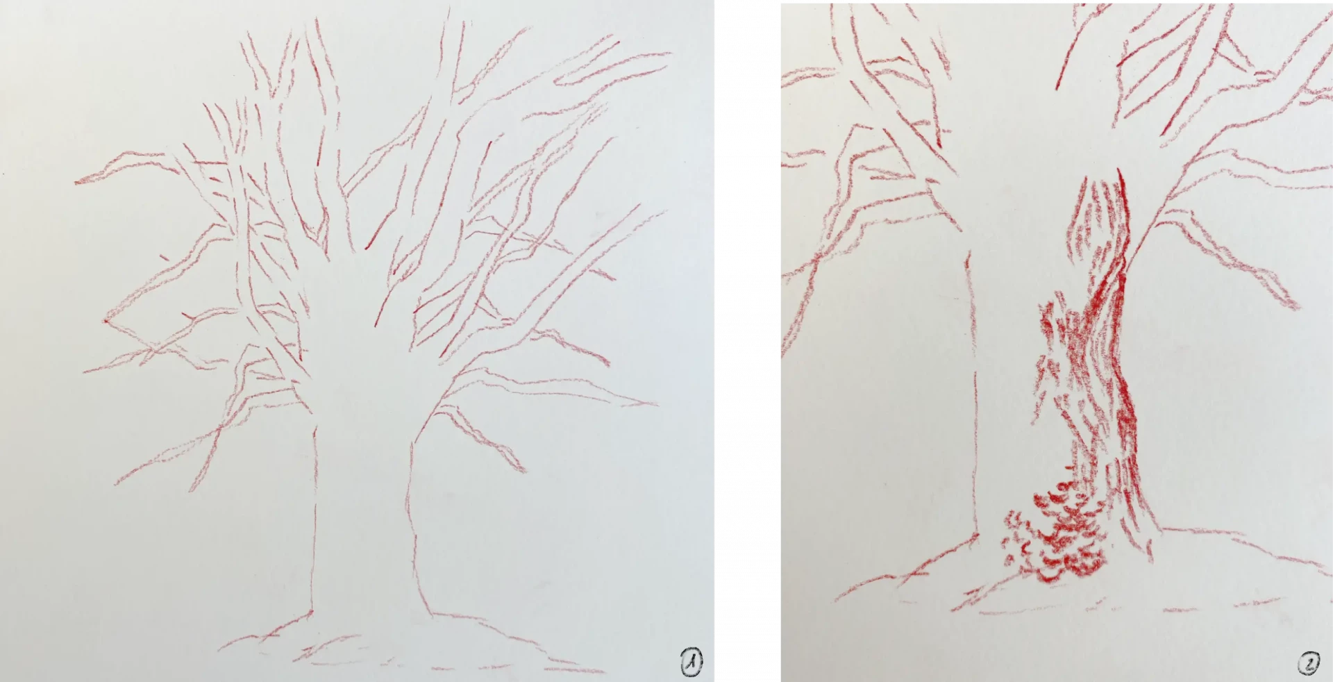dessiner la base d’un arbre à la sanguine humide