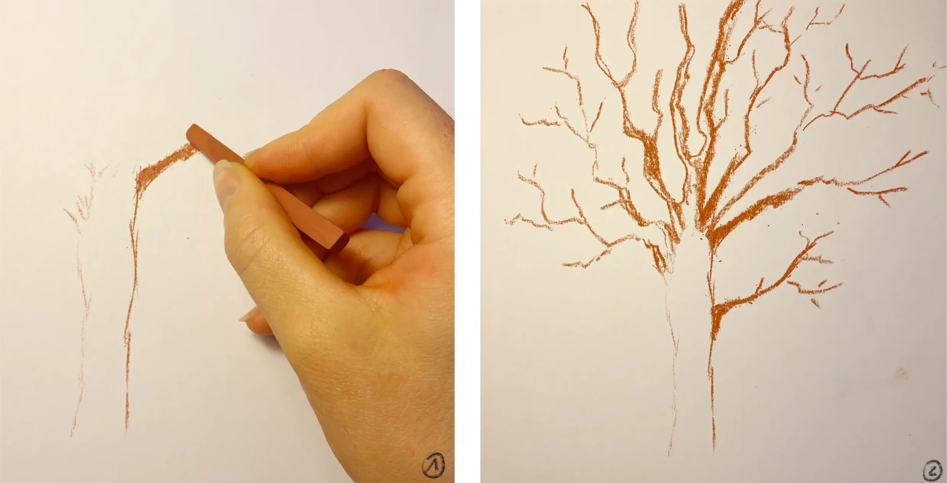 dessiner la base d’un arbre à la sanguine sèche