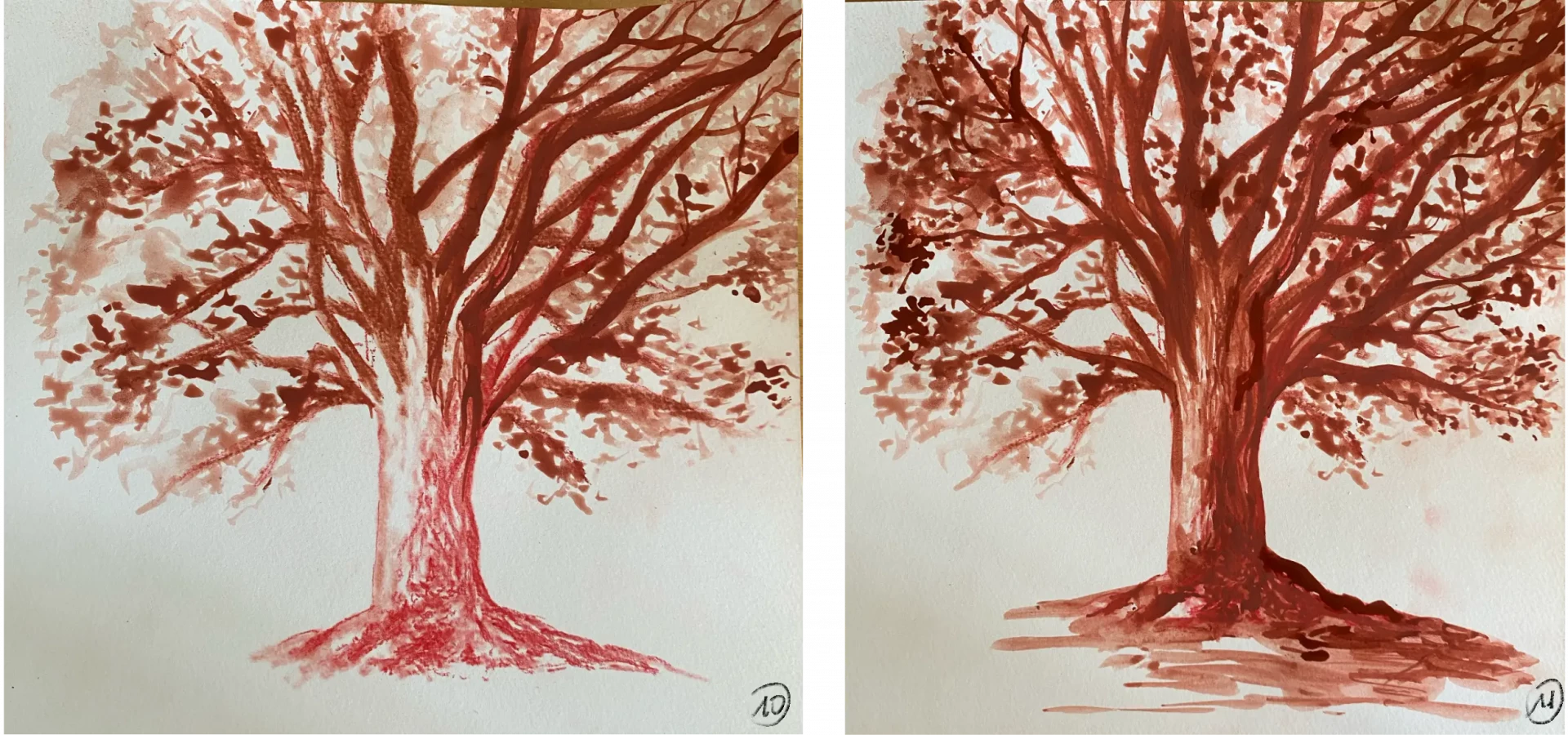 dessiner les détails d’un arbre à la sanguine humide