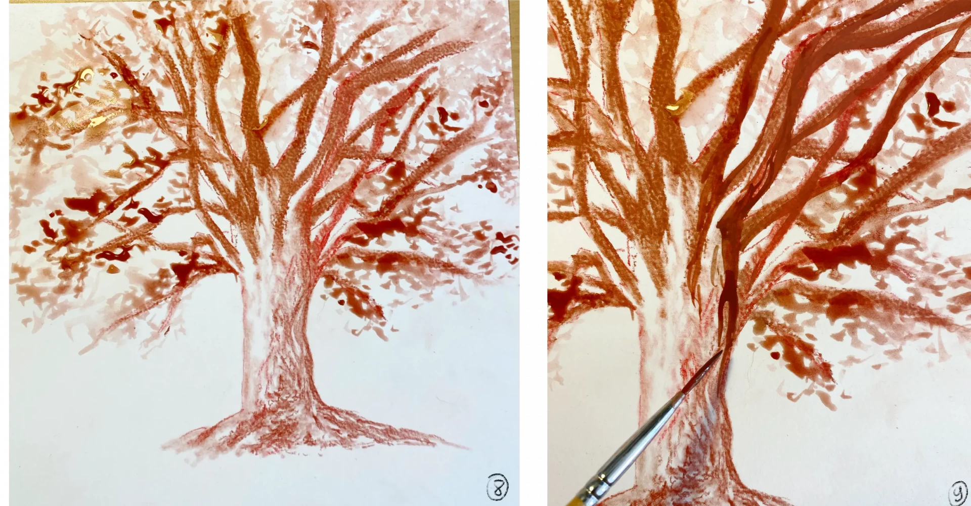 dessiner le feuillage d’un arbre à la sanguine humide