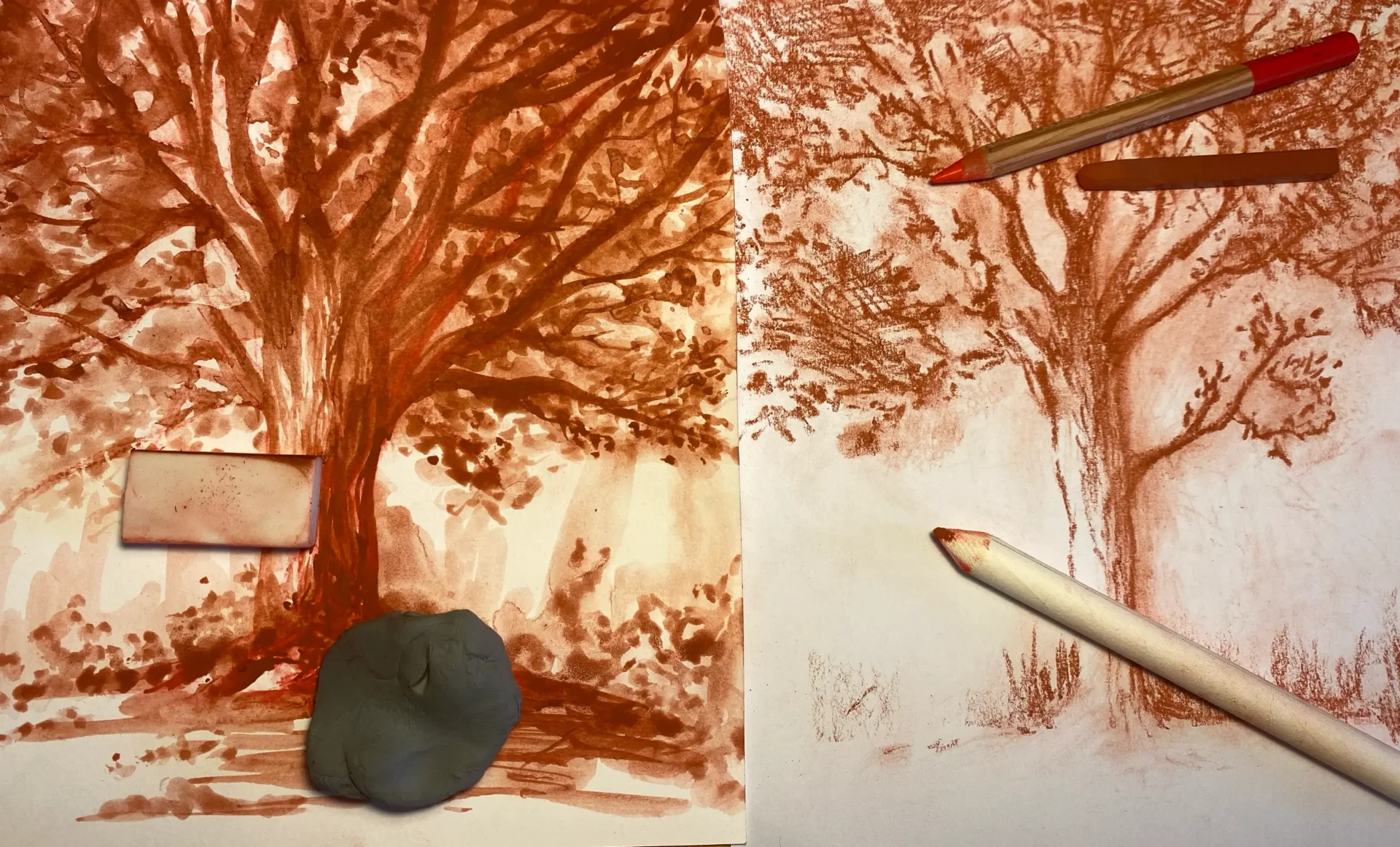 dessin d’un arbre à la sanguine humide