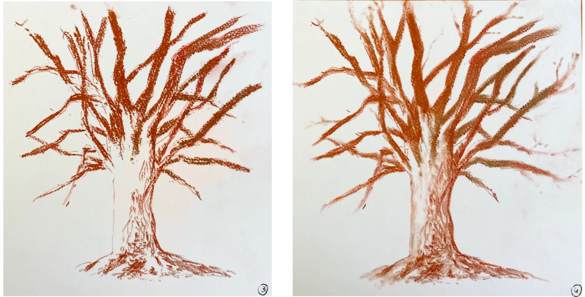 dessiner le tronc d’un arbre à la sanguine humide