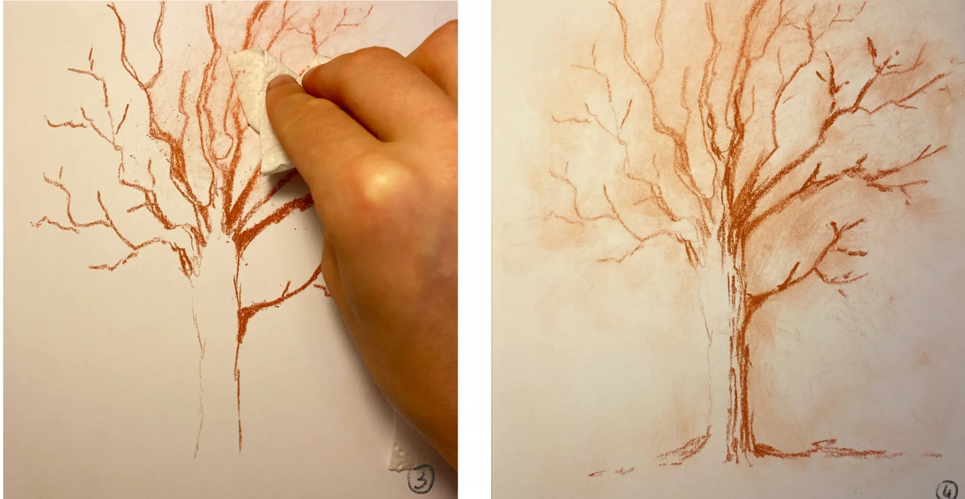 dessiner le tronc d’un arbre à la sanguine sèche