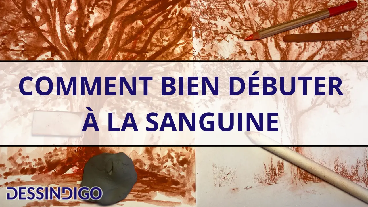 Comment bien débuter à la sanguine ?
