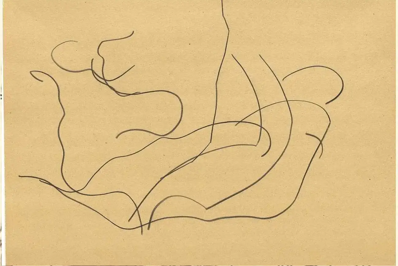 dessin automatique d’elisworth kelly