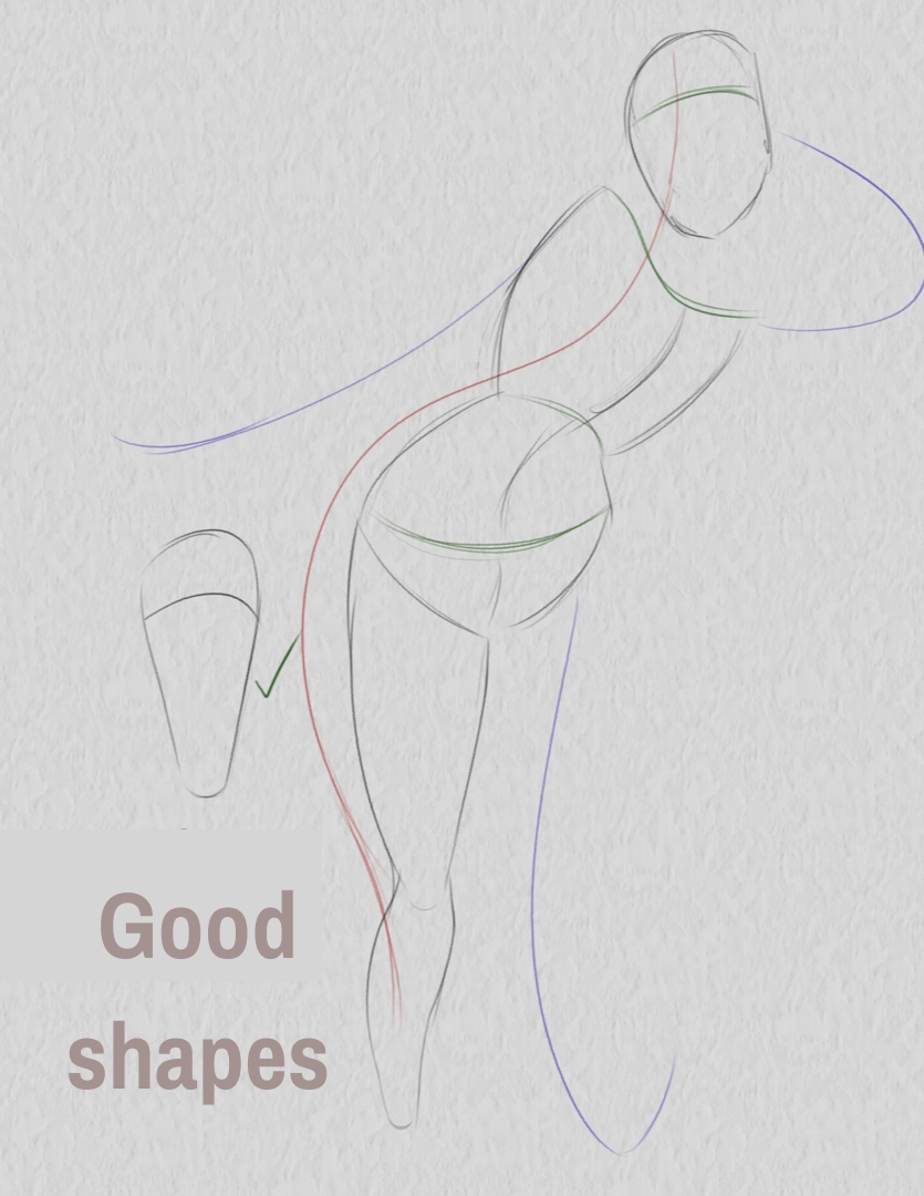 drawing of the correct limb shape of a pose