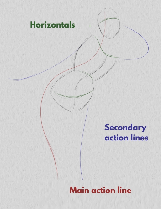 drawing the secondary action lines of a pose