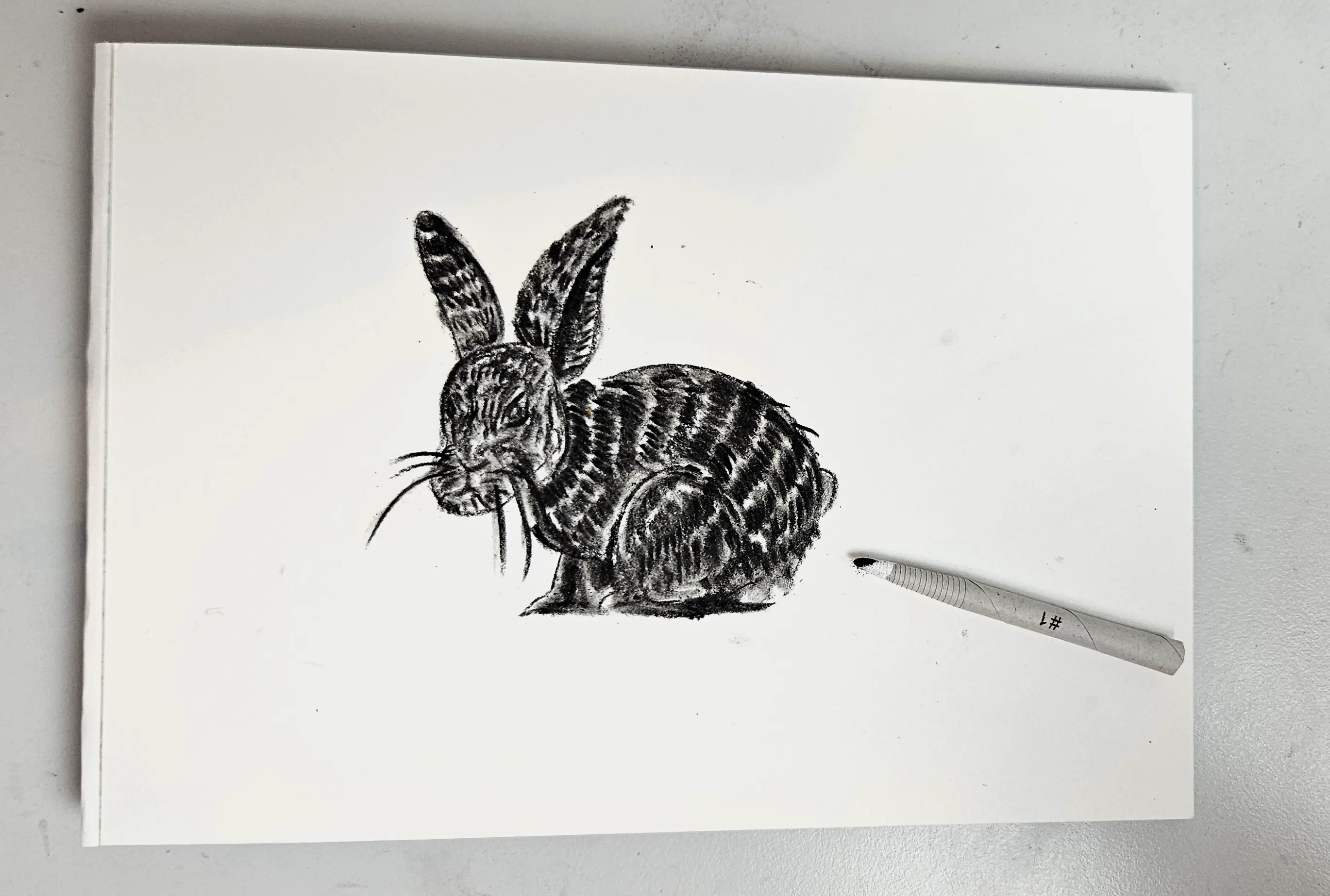 estomper les poils de son dessin de lapin au fusain