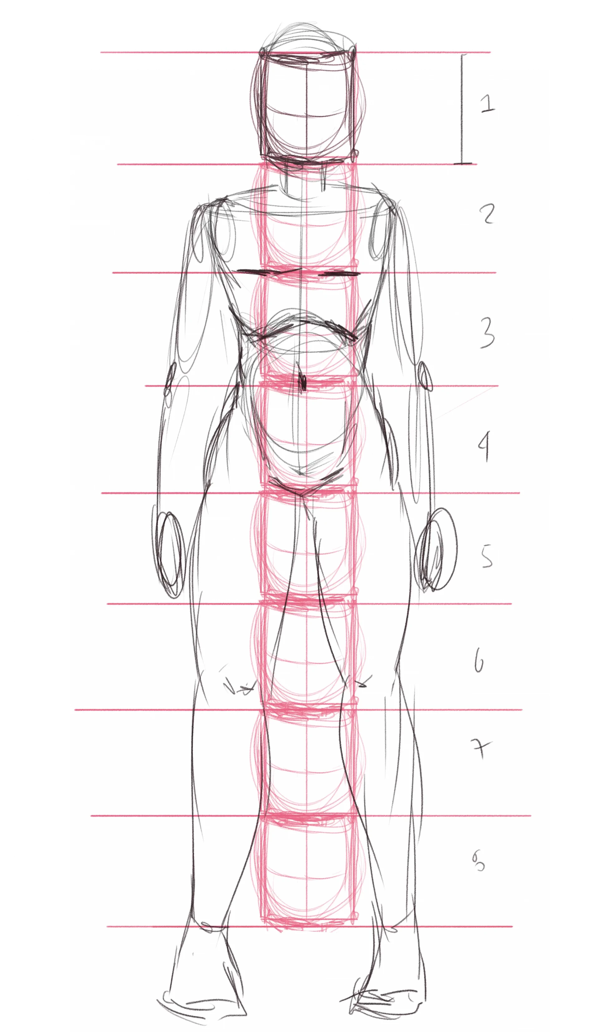 simplifier le corps humain