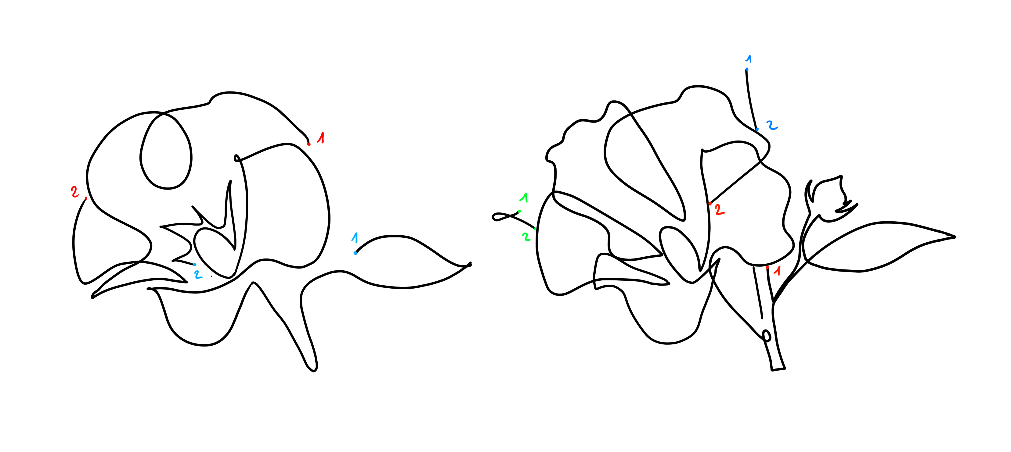 dessin minimaliste de fleur