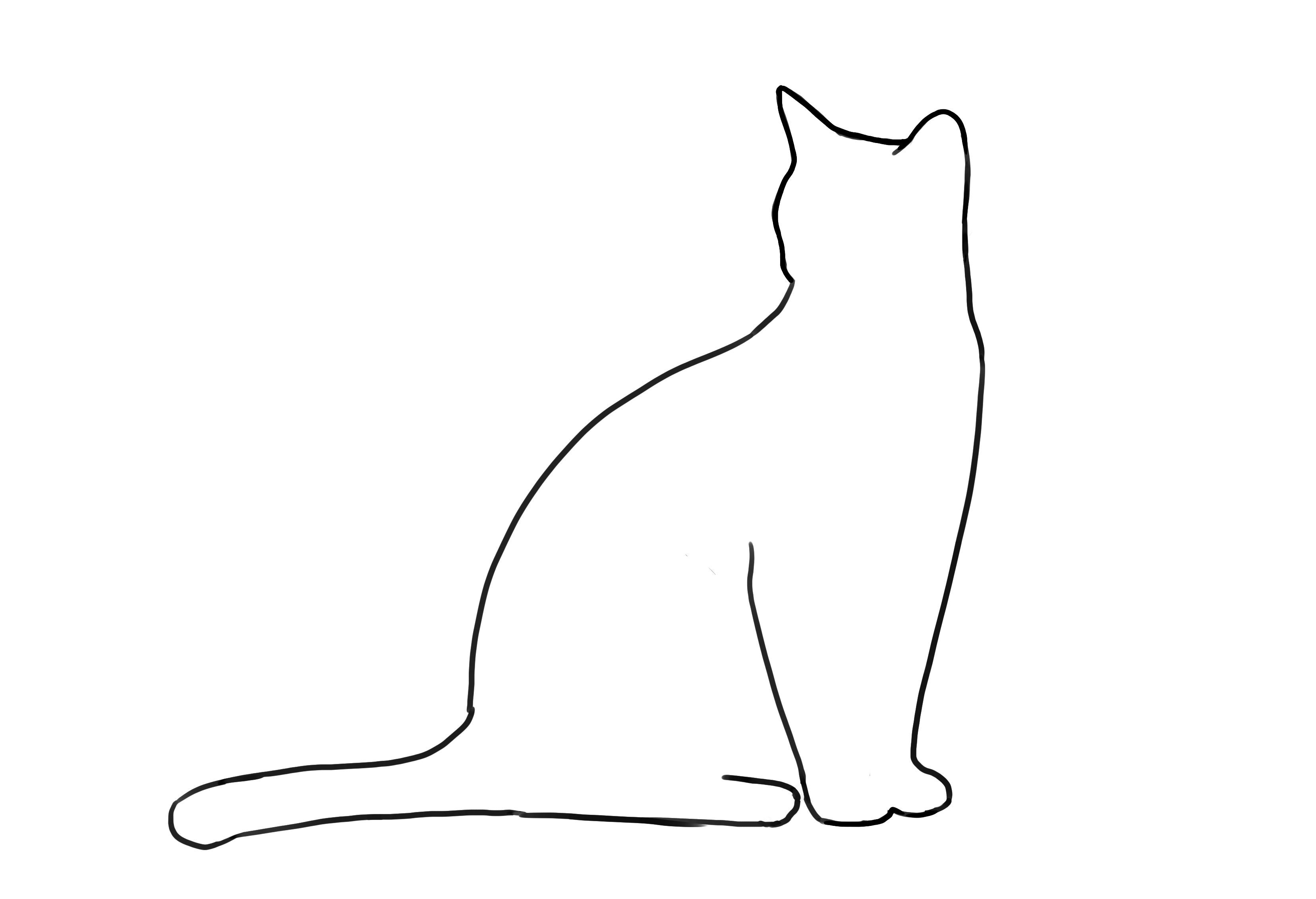 effacer les lignes du dessin de chat