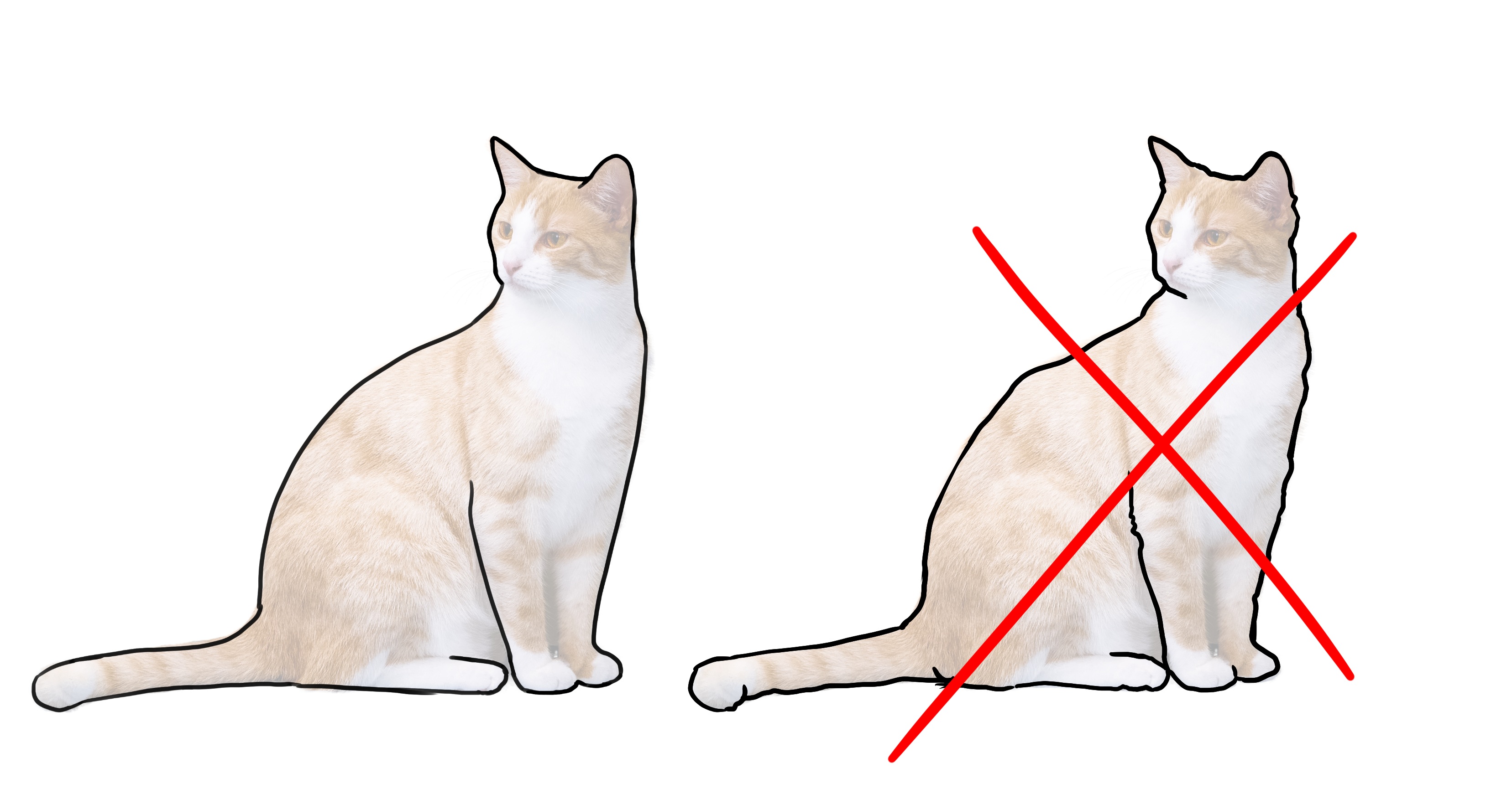 erreur à éviter dans un dessin minimaliste