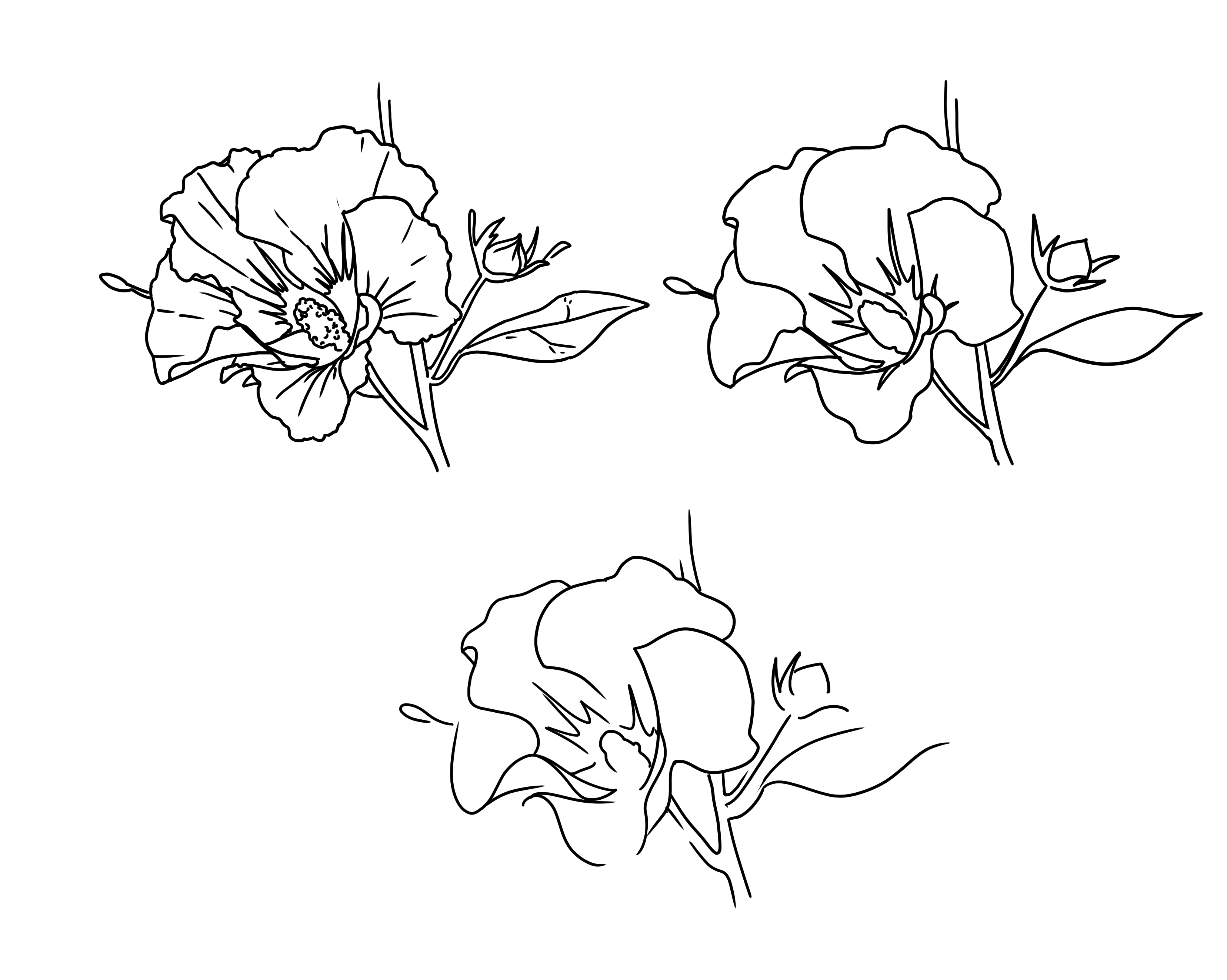 simplifier le dessin de fleur