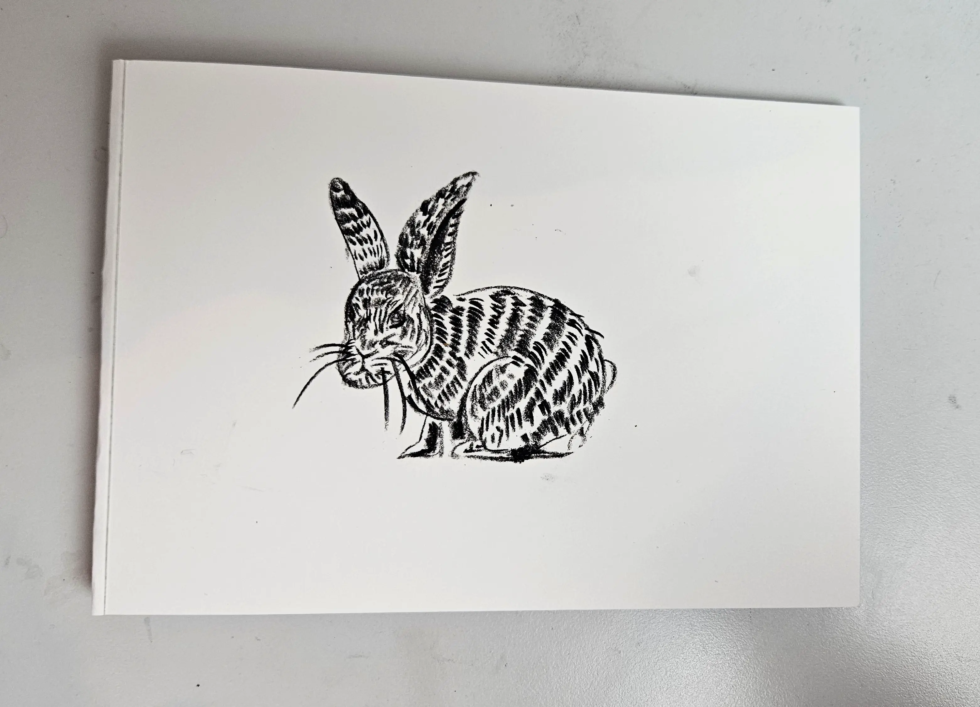 dessiner le poils d’un lapin au fusain