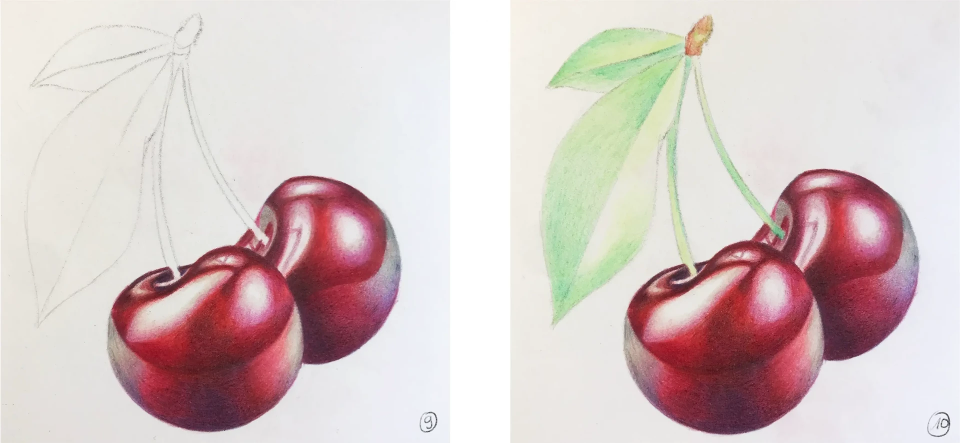 dessiner les feuilles d’une cerise réaliste aux crayons de couleur