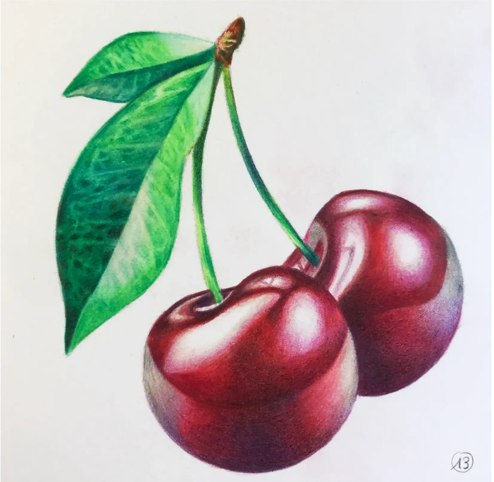 dessin réaliste aux crayons de couleur