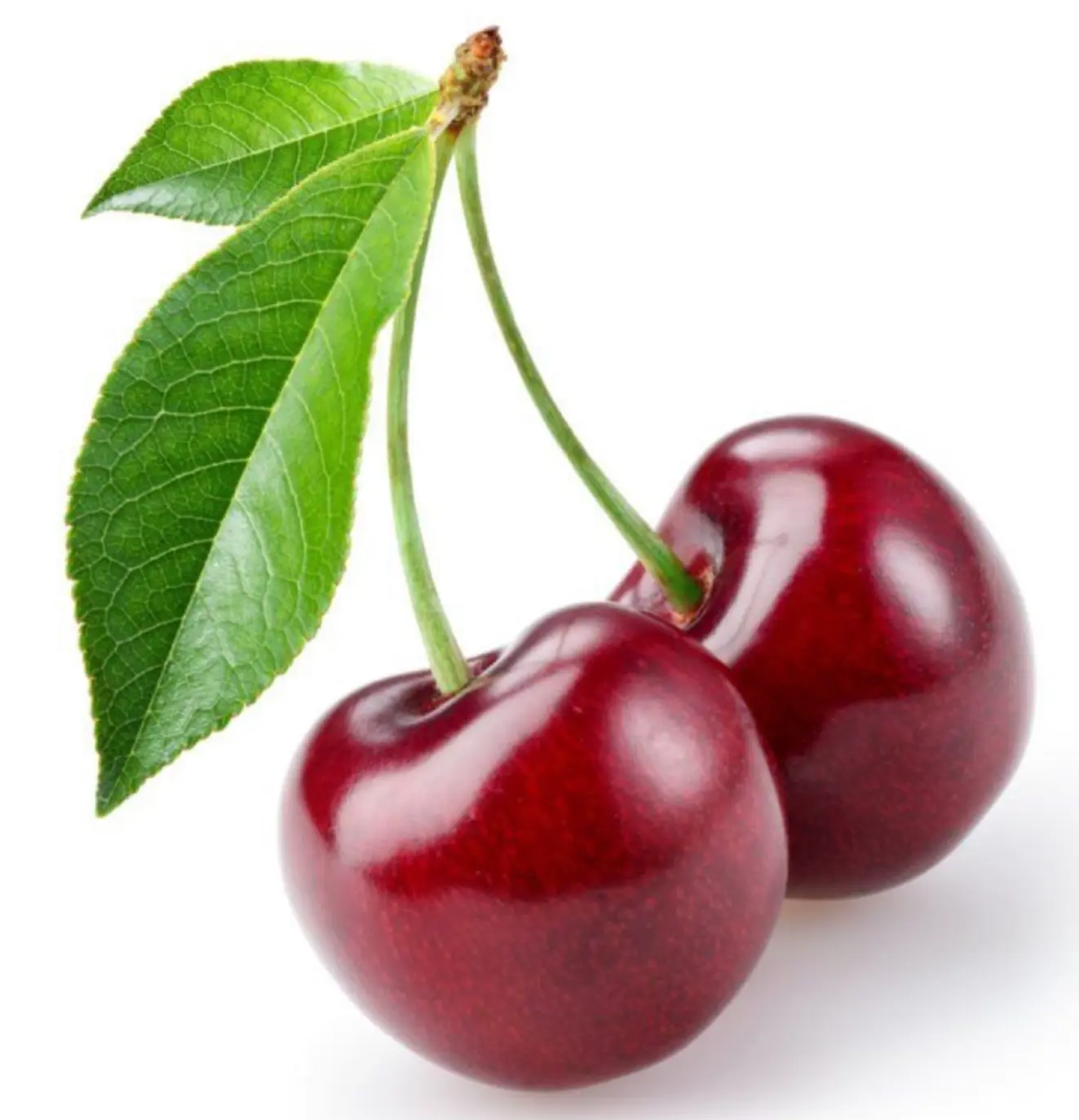 image de référence pour fare un dessin réaliste aux crayons de couleur