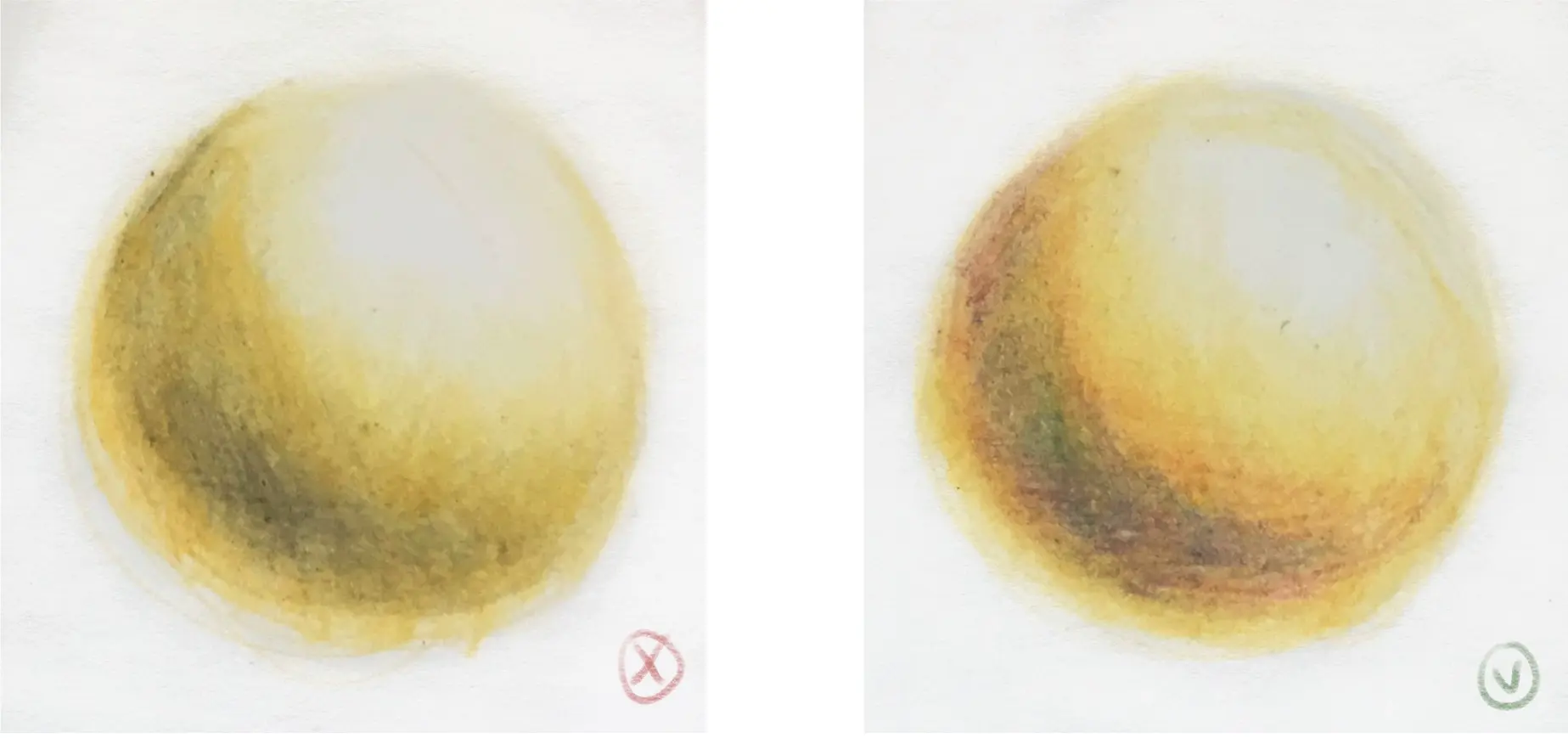 ombrer un dessin réaliste aux crayons de couleur