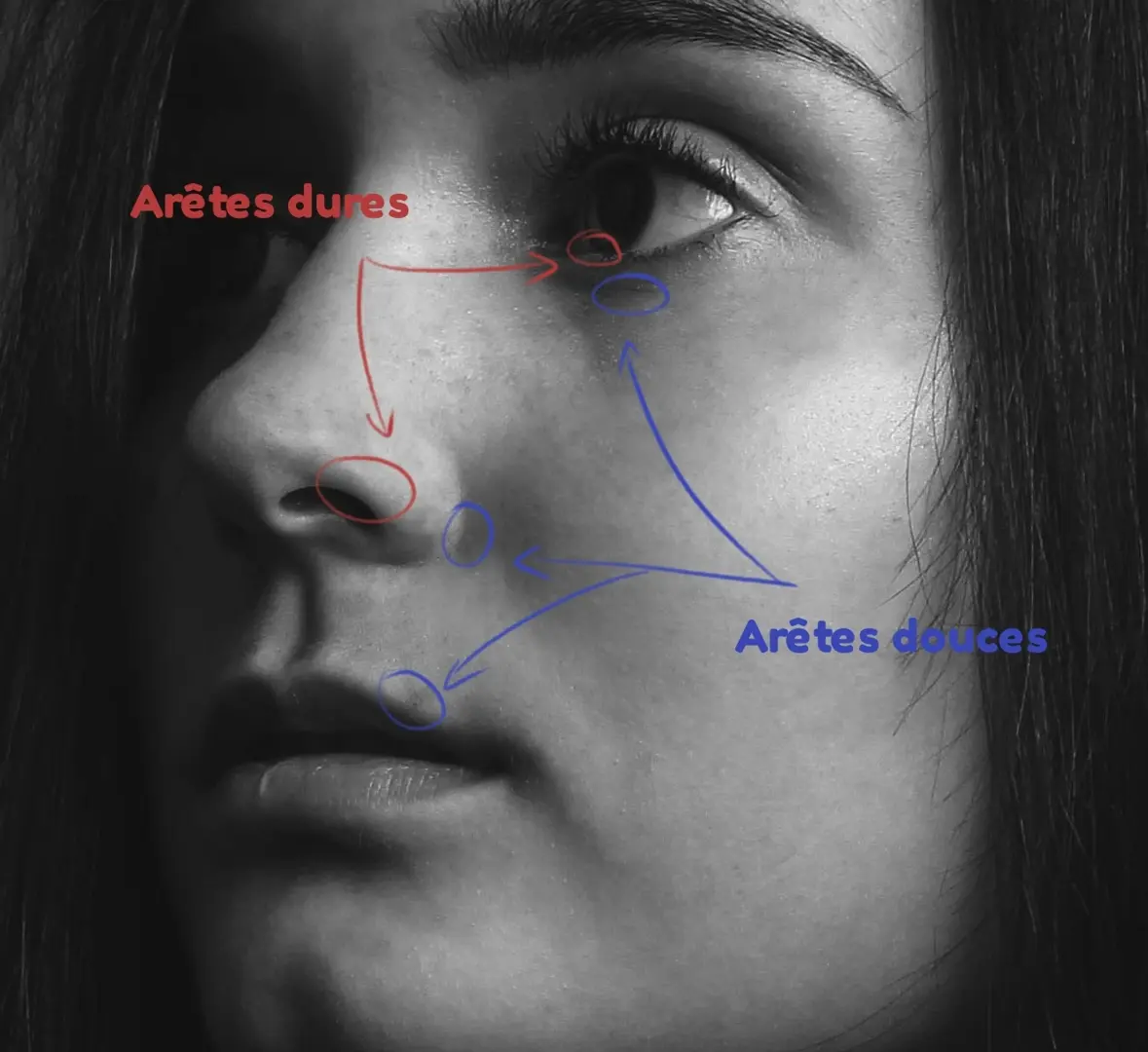 exemple d’une image pour dessiner un portrait réaliste