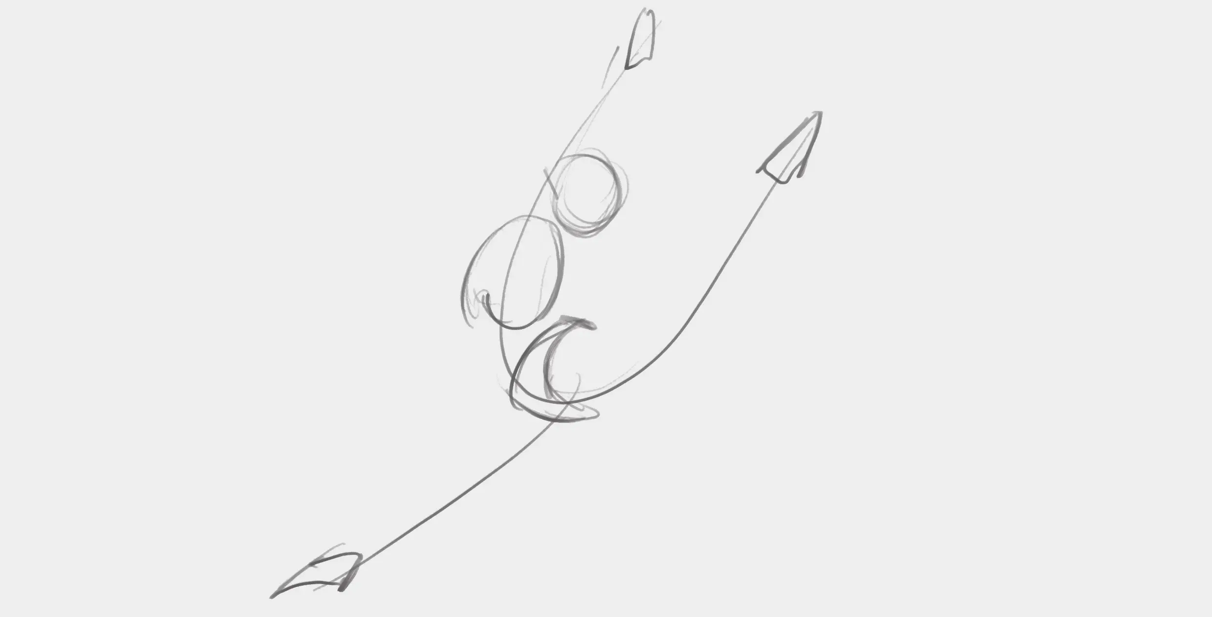 dessiner la base d’un être vivant réalisé sur le vif