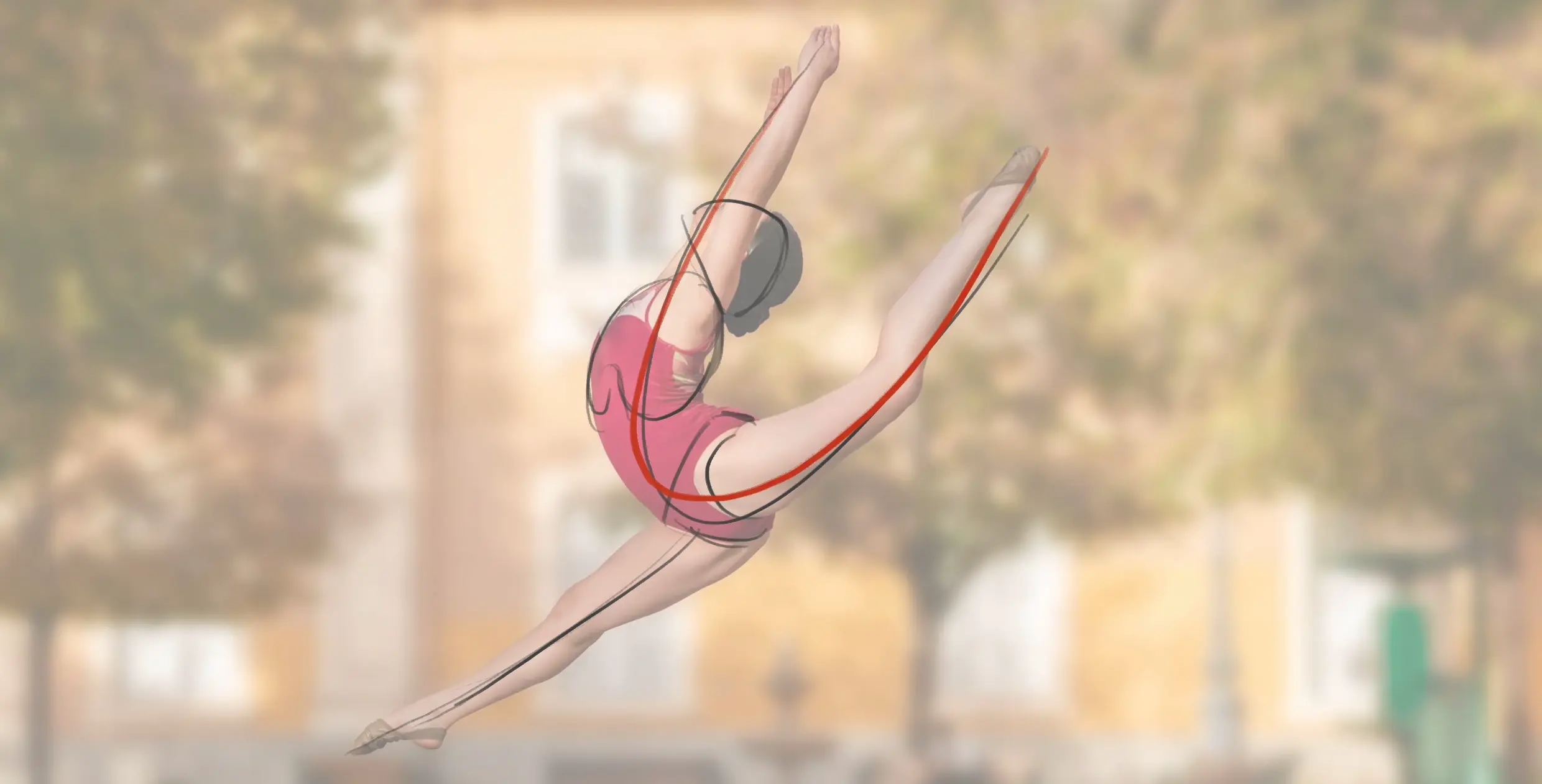 découper les différents plans d’un être vivant à dessiner sur le vif