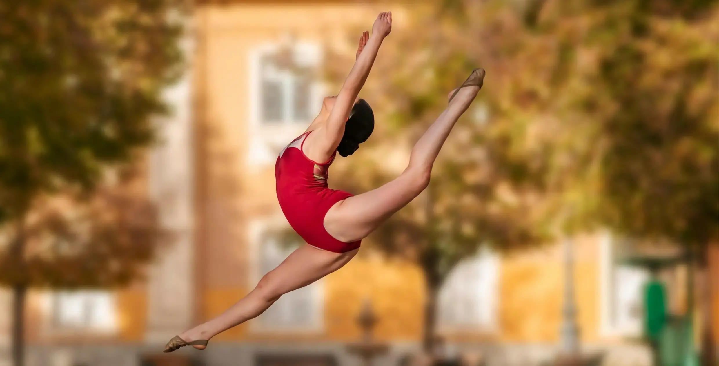 exemple d’une image d’un être vivant à dessiner sur le vif