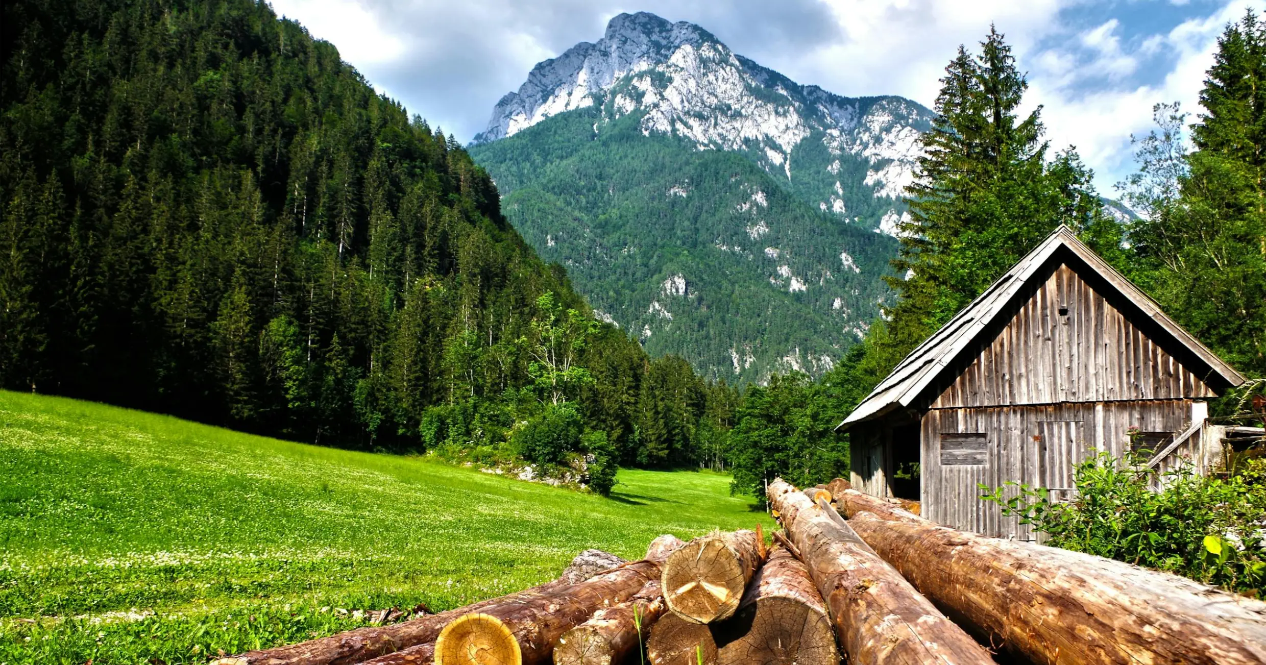 exemple d’une image de paysage à dessiner sur le vif