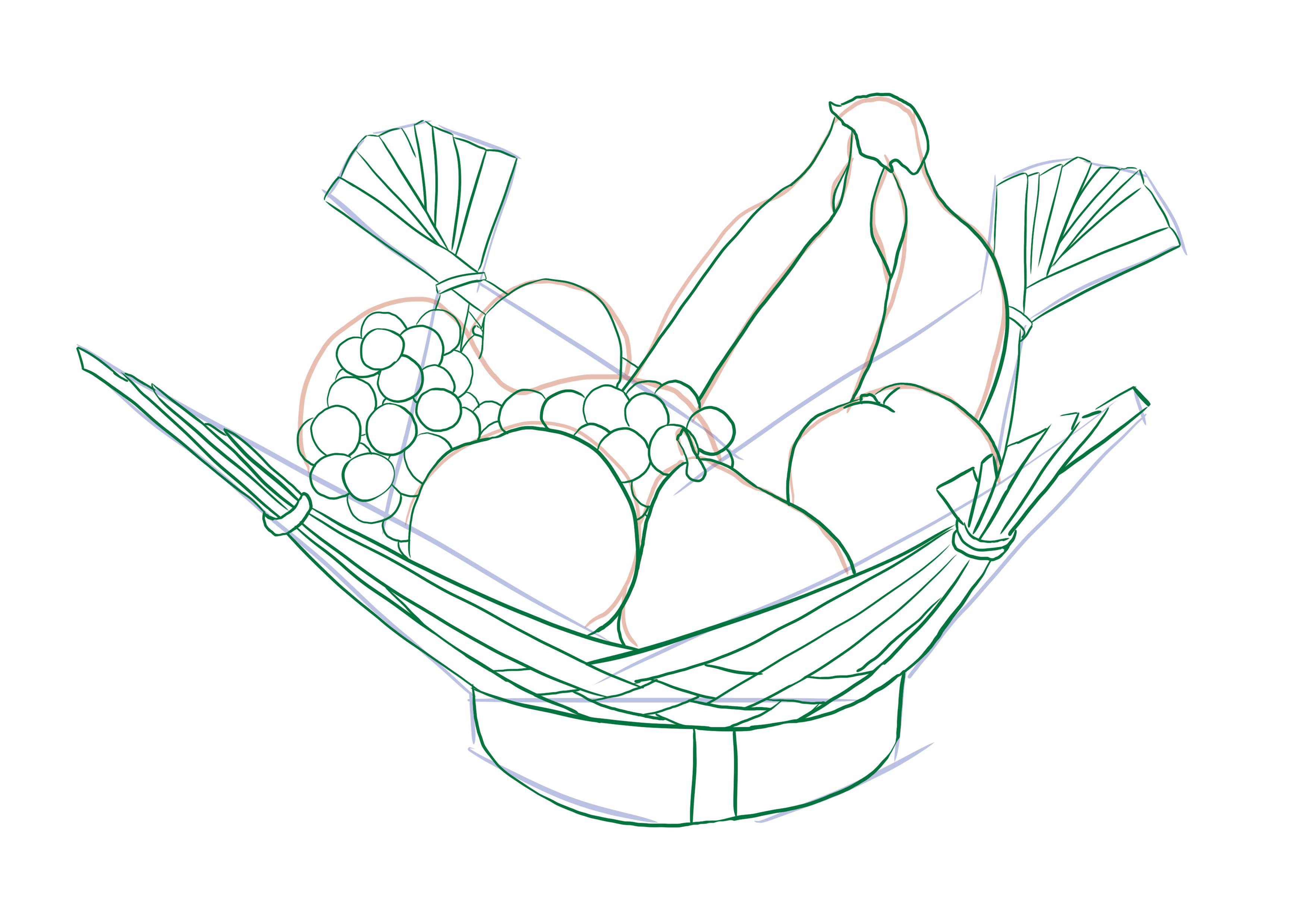 ajouter les précisions au dessin d’observation