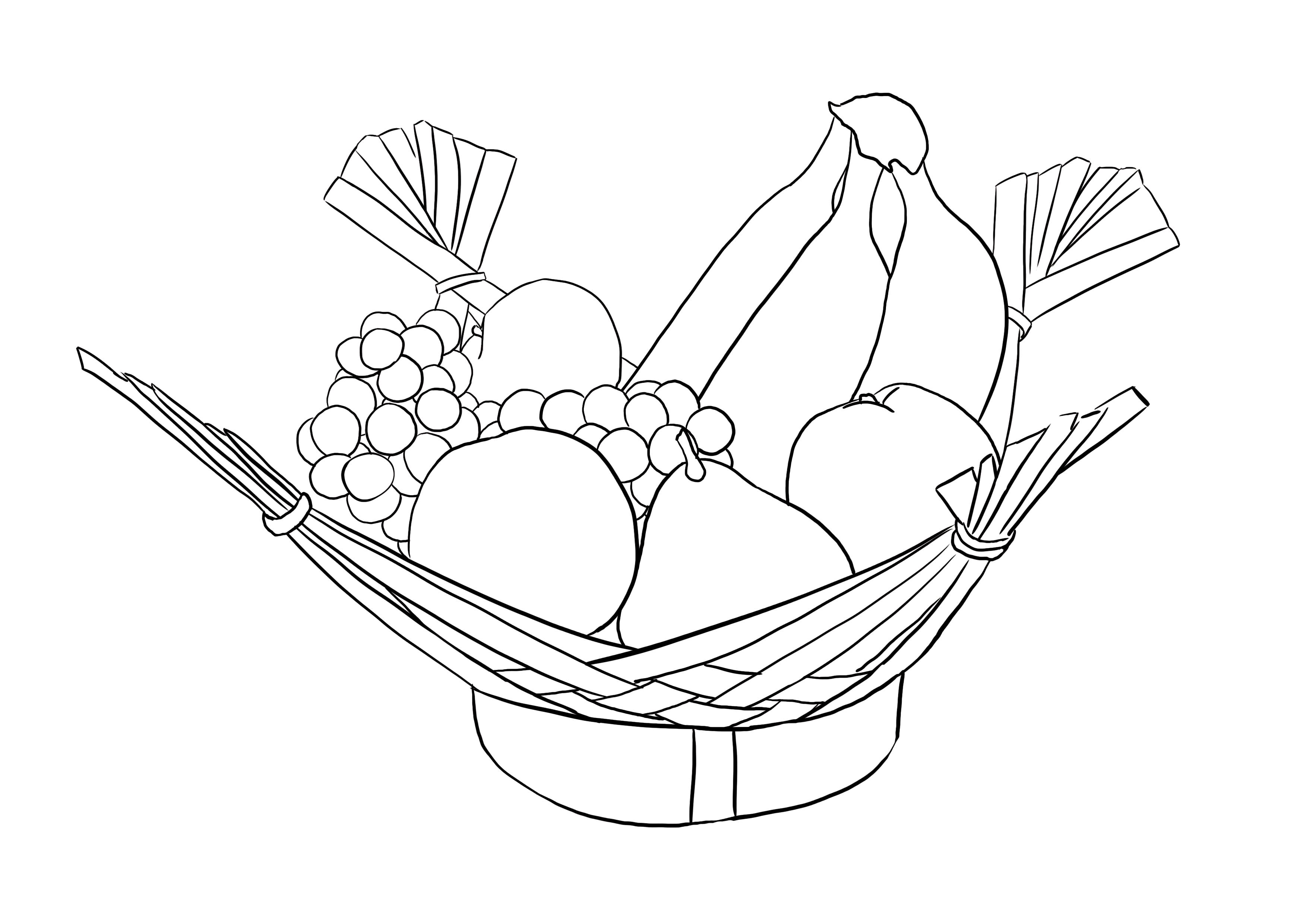 dessiner d’observation d’une corbeille de fruits au propre