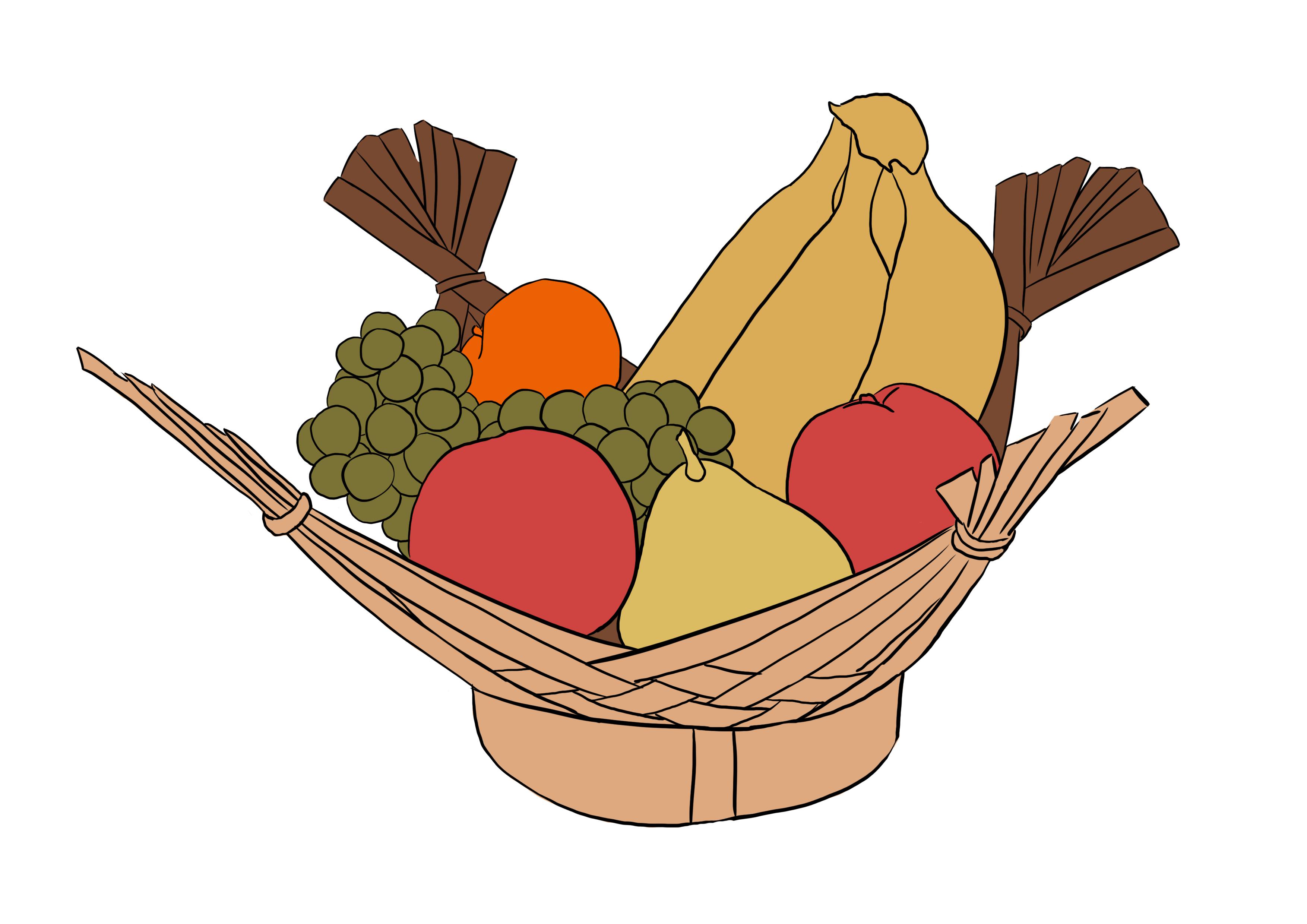 mettre en couleur le dessin d’observation