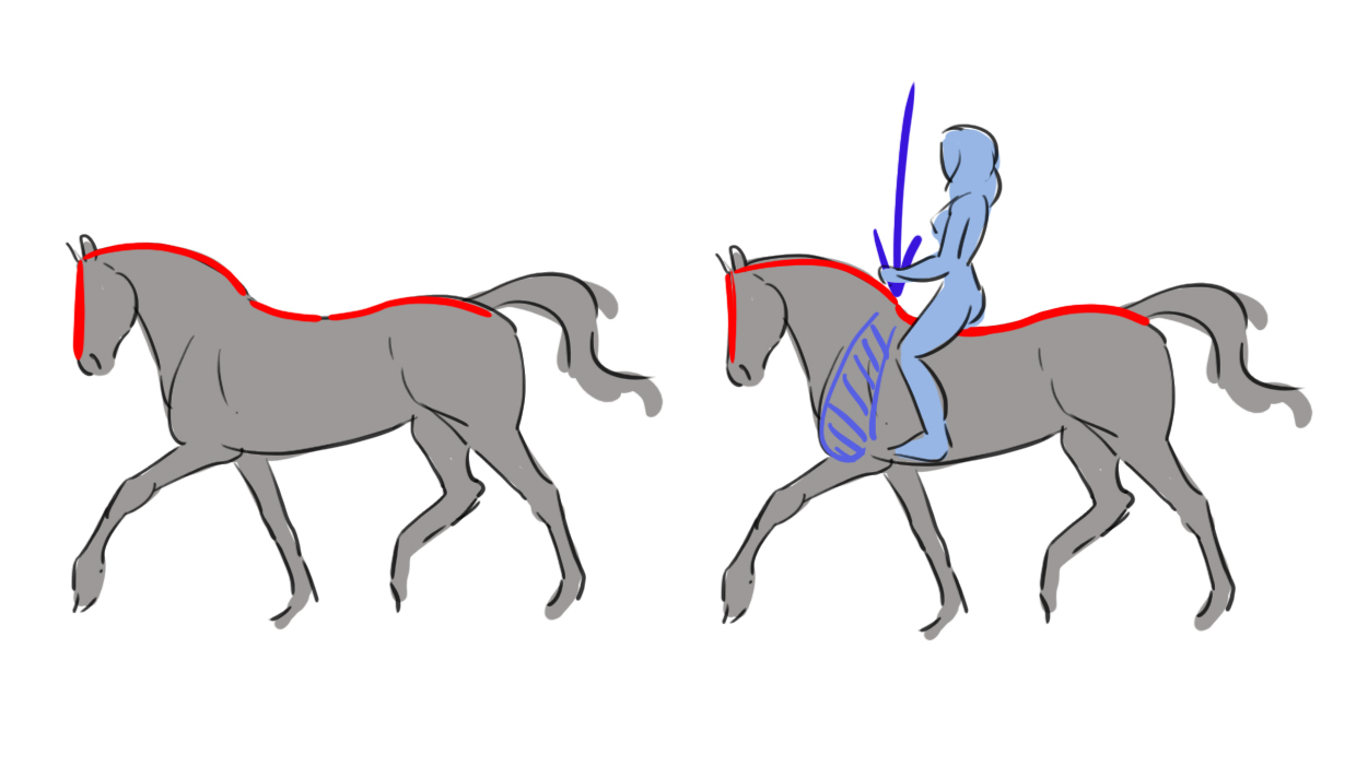 croquis du cheval et du cavalier 1