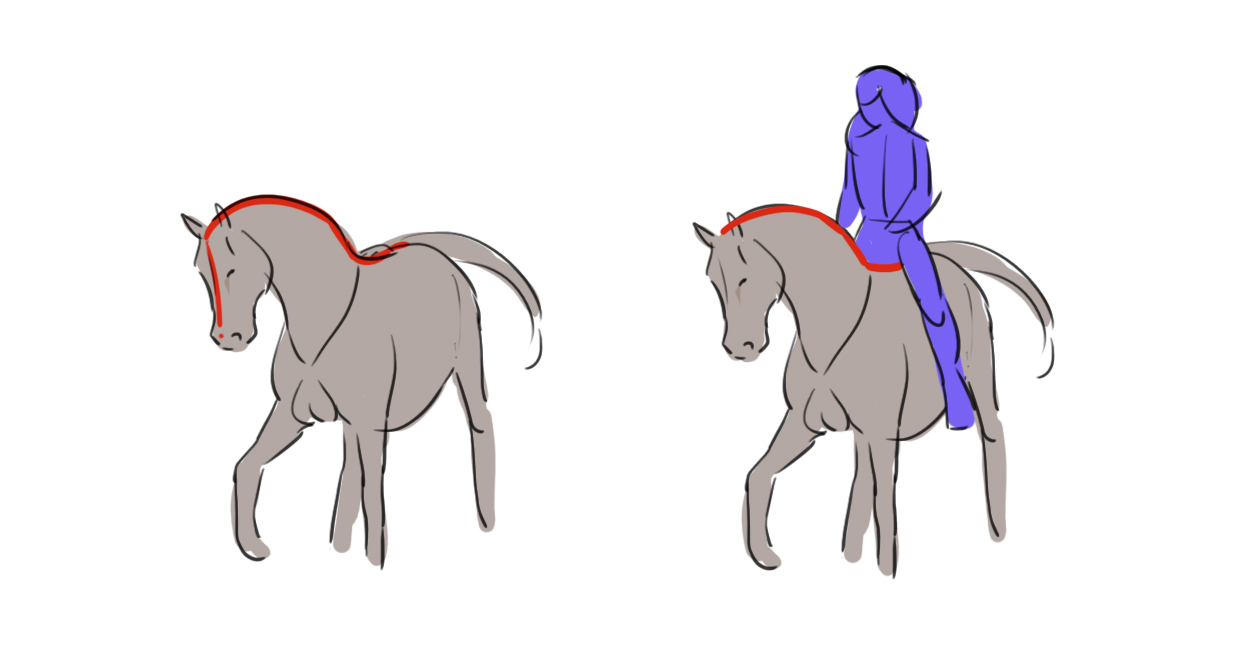 croquis du cheval et du cavalier 2