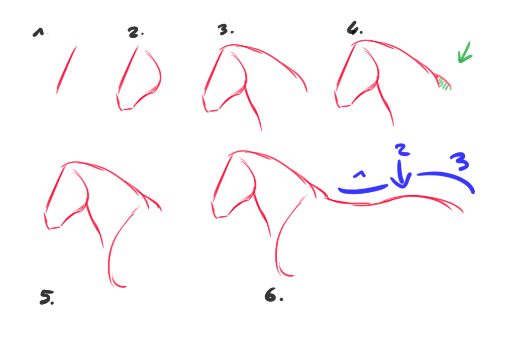 croquis difficile du cheval 1