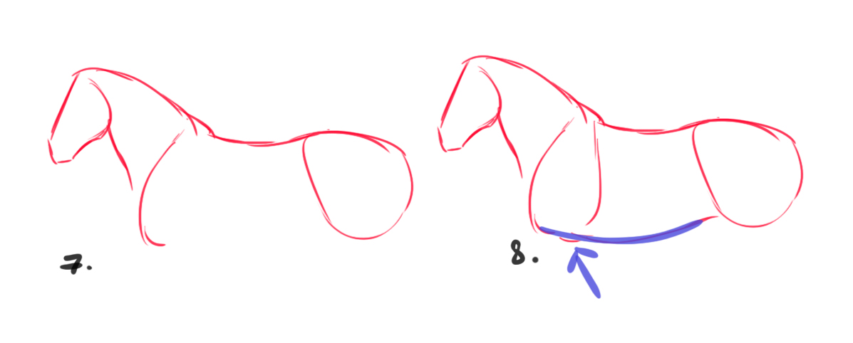 croquis difficile du cheval 2