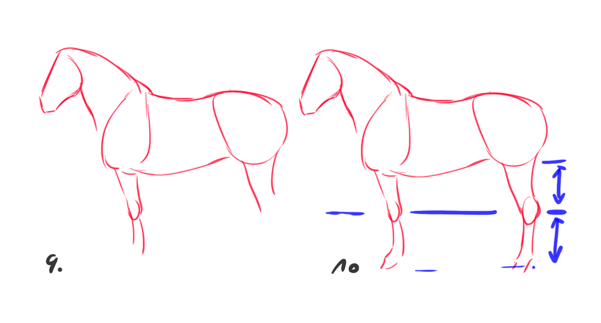 croquis difficile du cheval 3