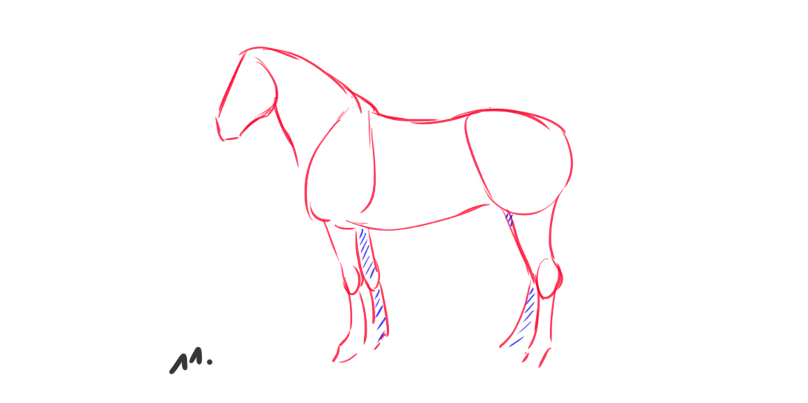 croquis difficile du cheval 4