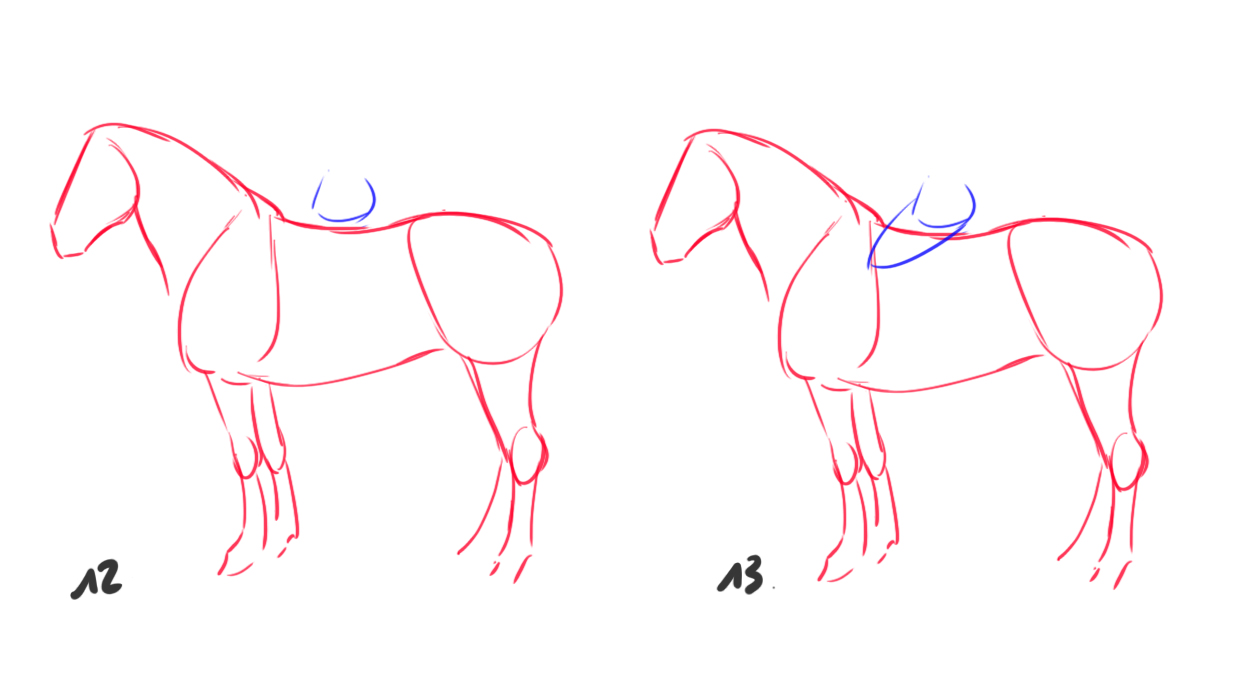 croquis difficile du cheval et du cavalier 1