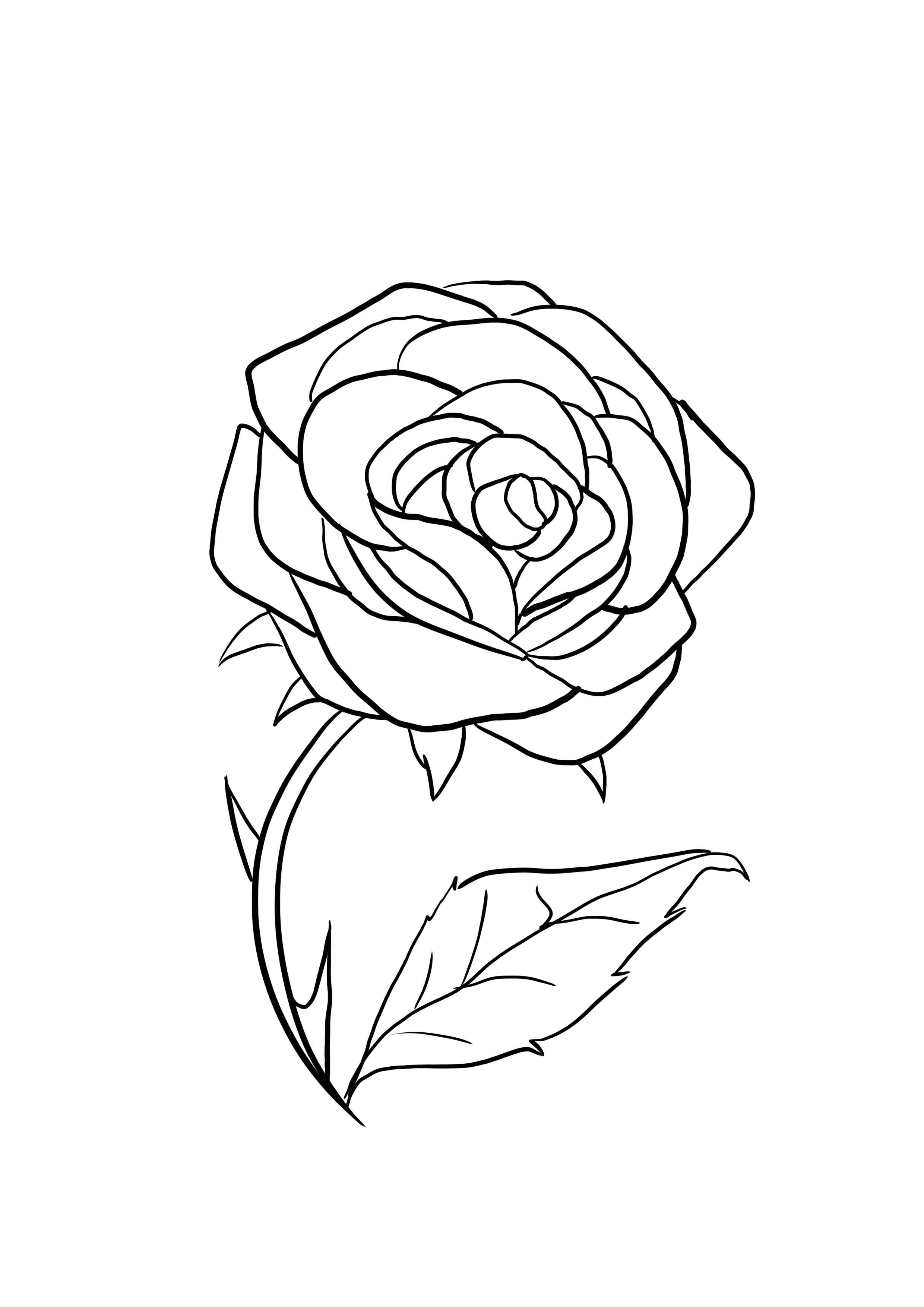 dessin difficile : rose étape 10