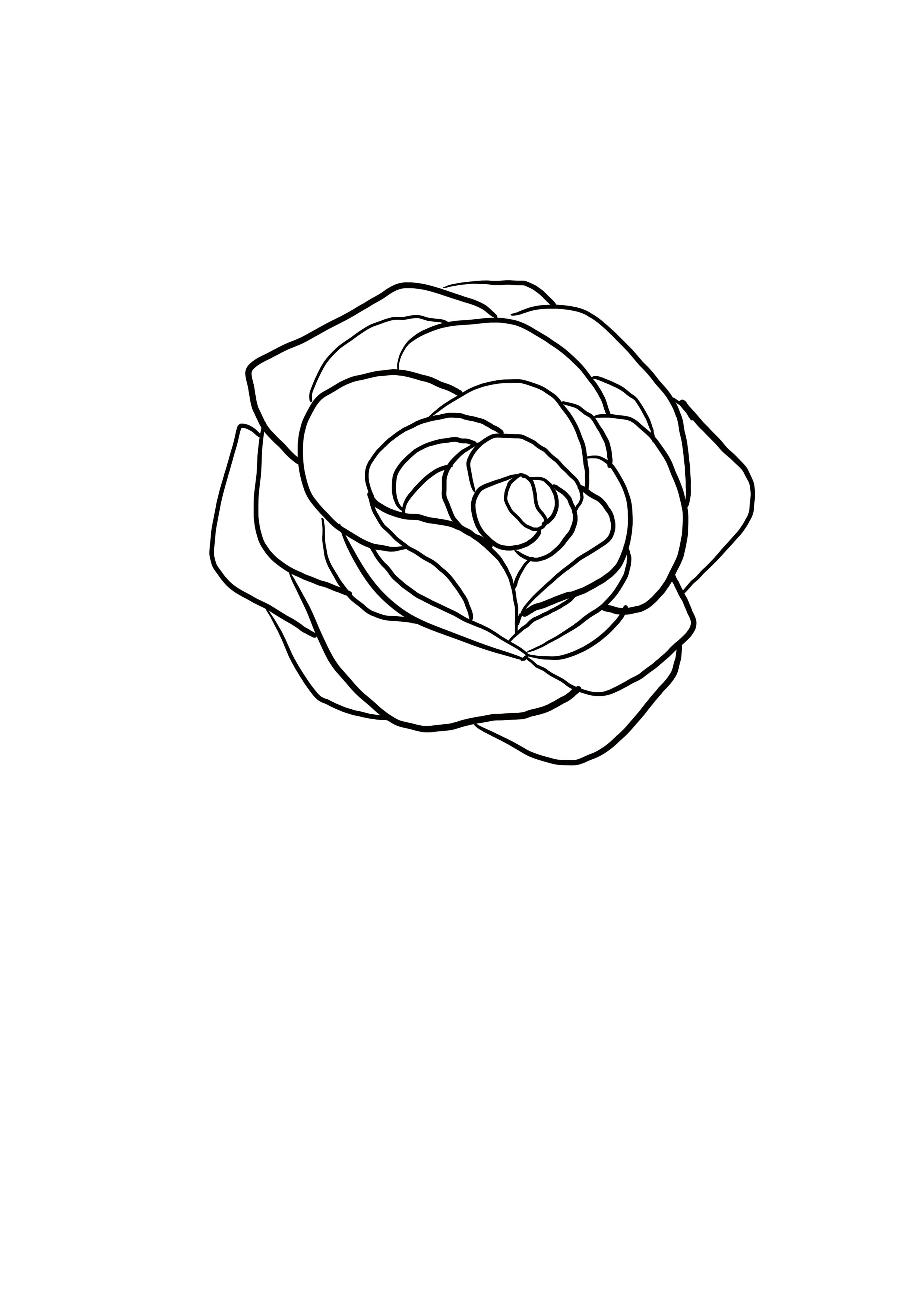 dessin difficile : rose étape 6