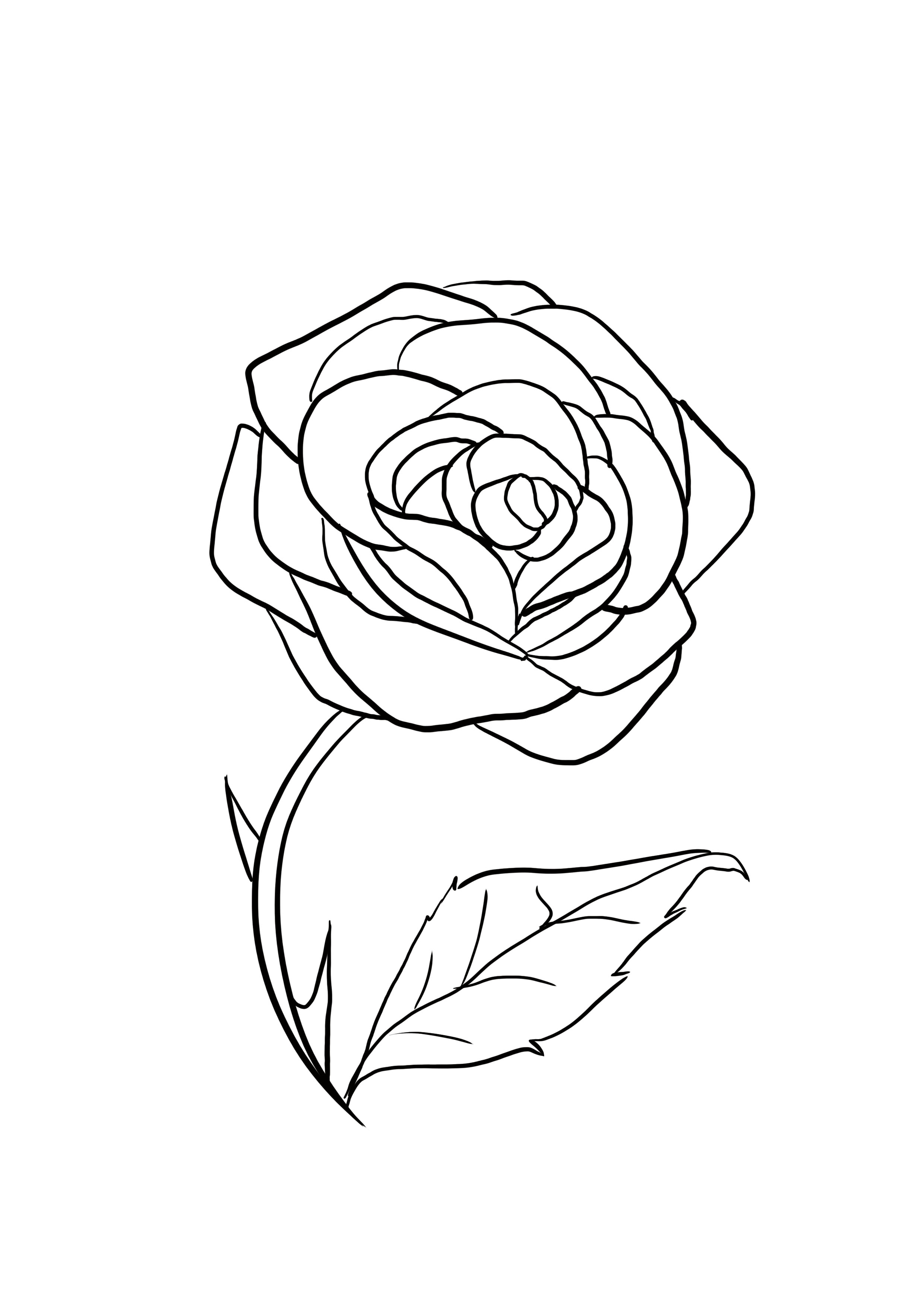 dessin difficile : rose étape 9