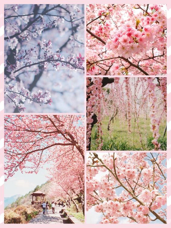 Images de référence pour définir le ton et la couleur du dessin triste 3