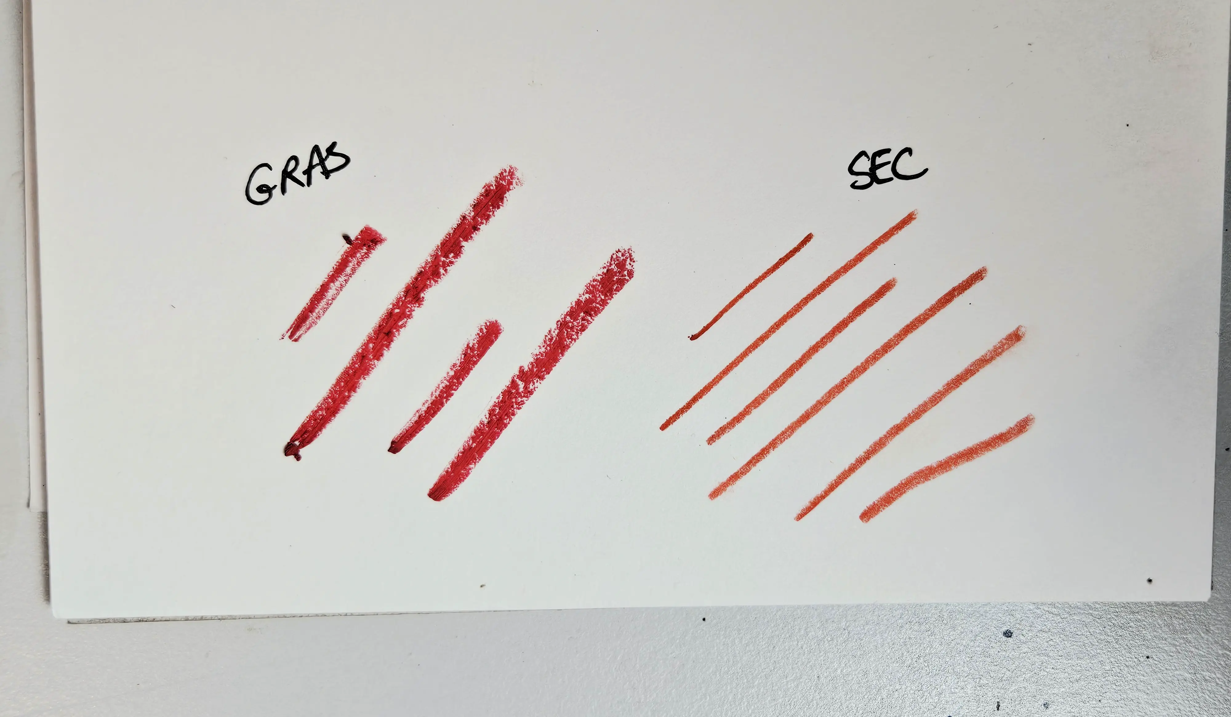 les différences de détails entre le pastel sec et le pastel gras
