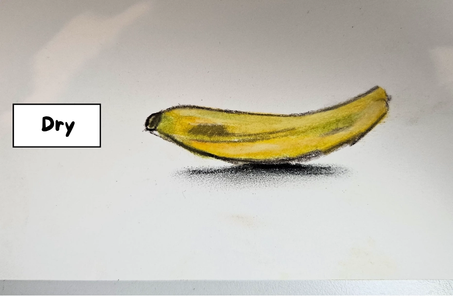 Soft Pastels or Oil Pastels: Which Ones to Choose?