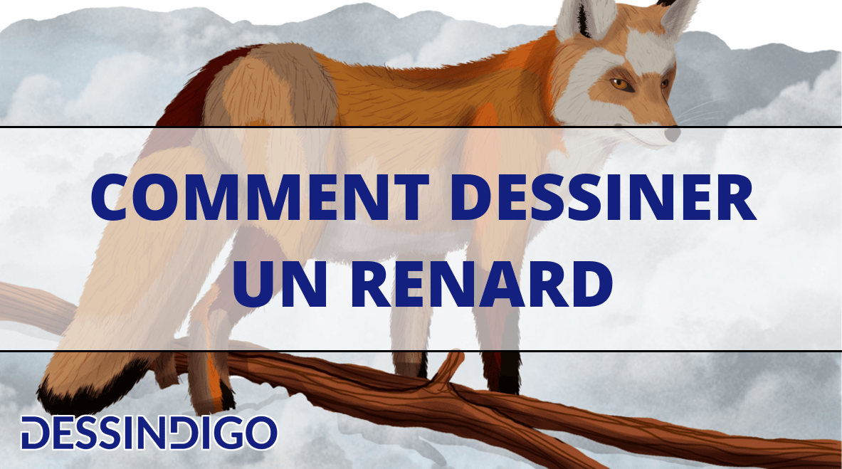 Comment dessiner un renard