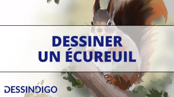 Dessiner un écureuil