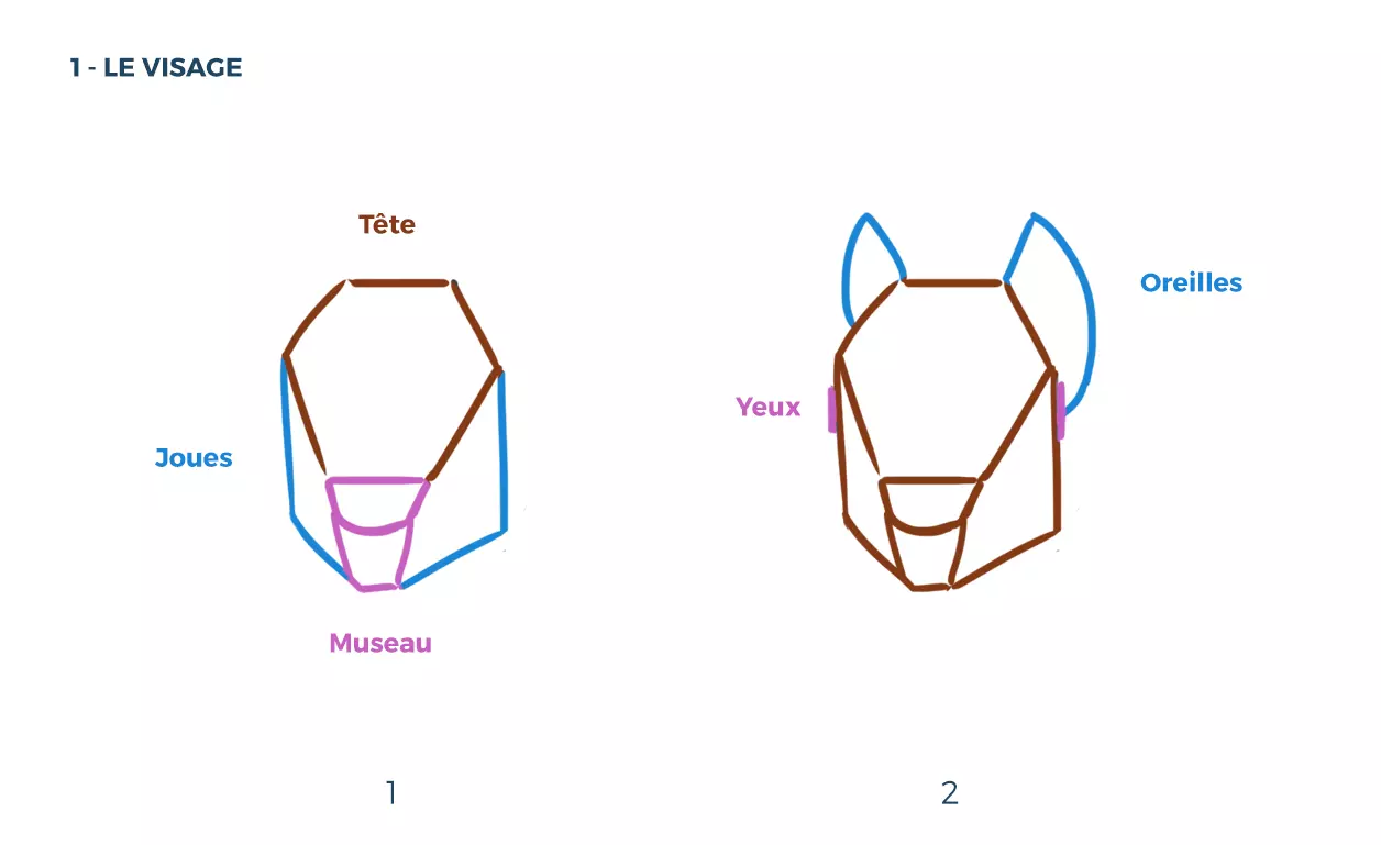 dessin du visage d’un écureuil