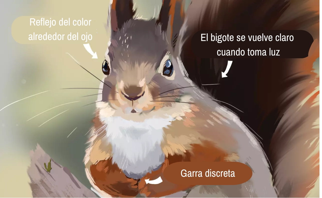 dibujo de una ardilla